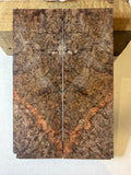 Blackash Burl | #0156