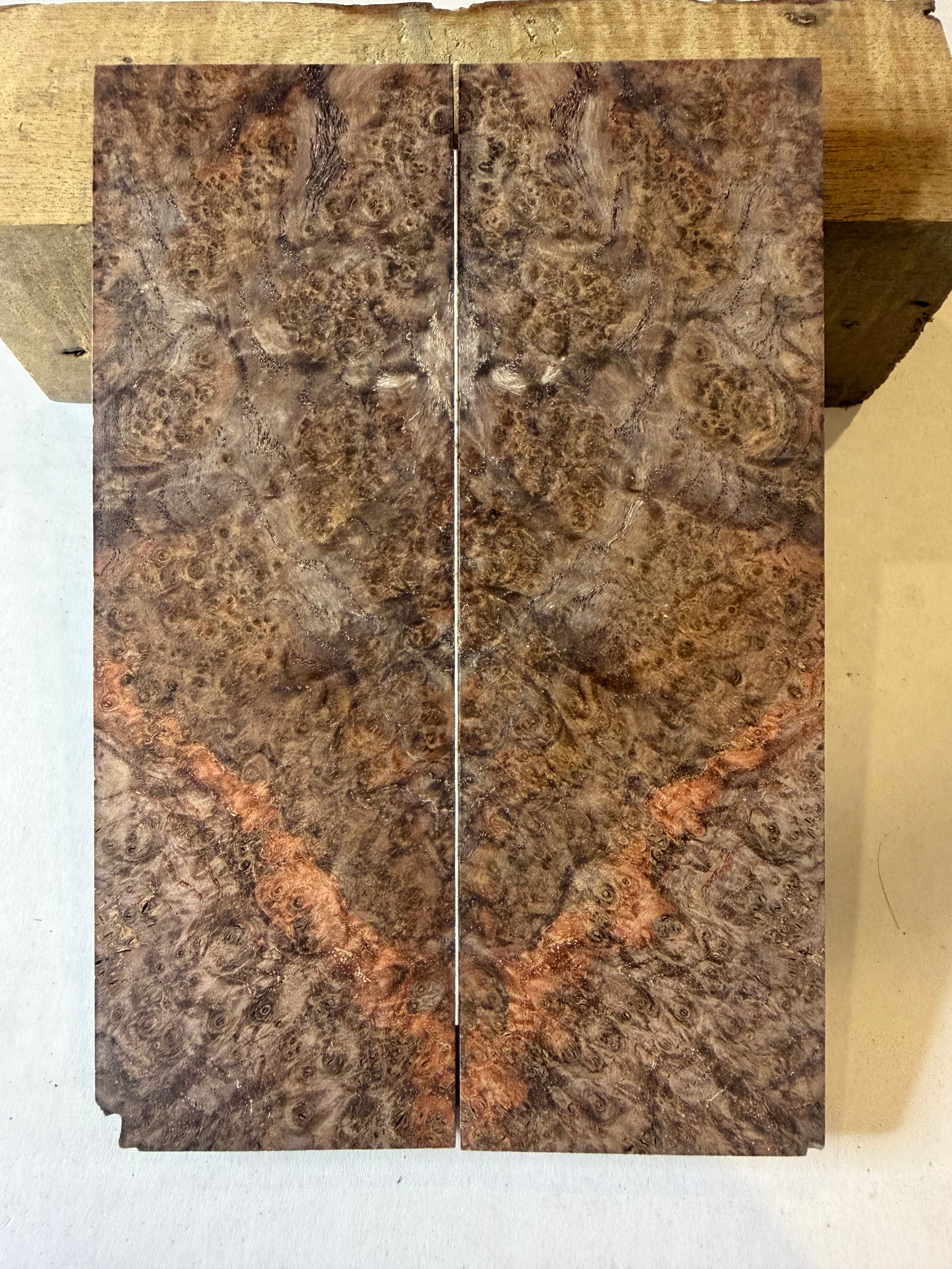 Blackash Burl | #0156