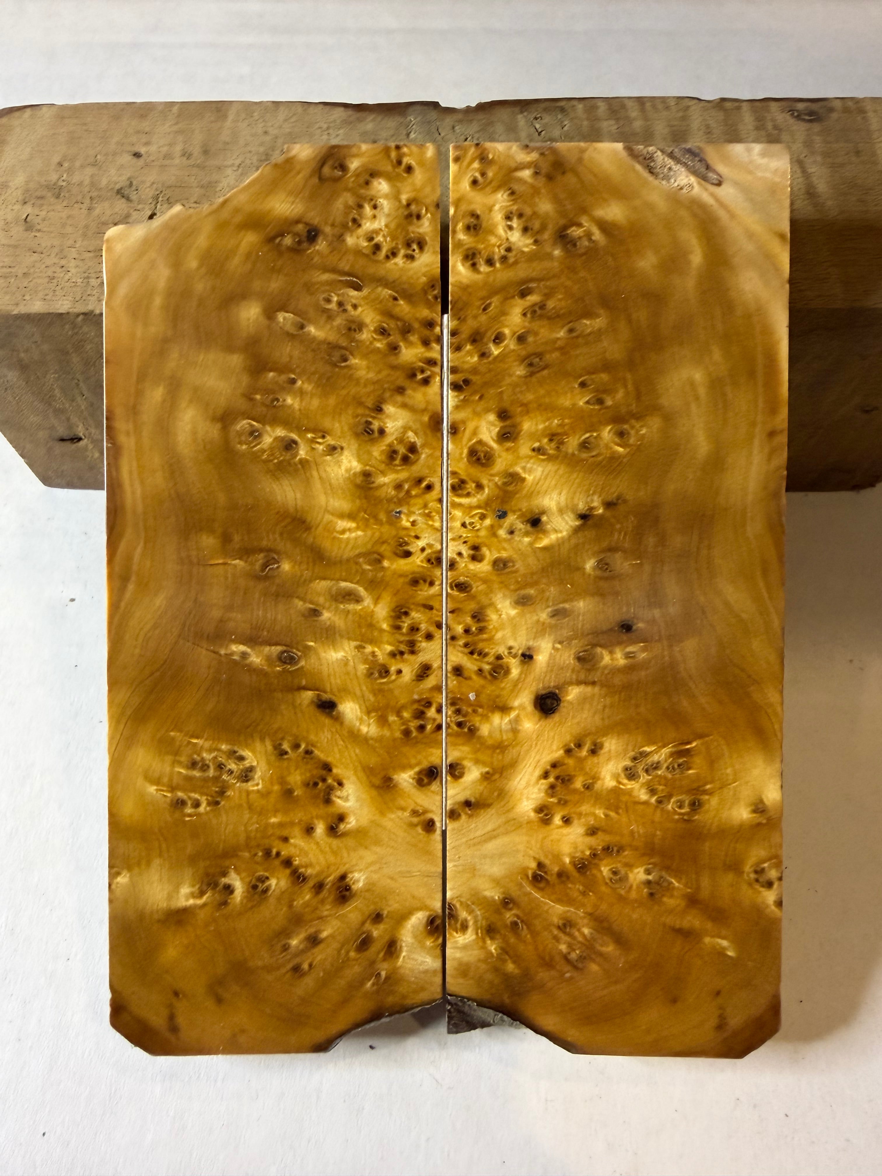 Yellow Cedar Burl | #0176