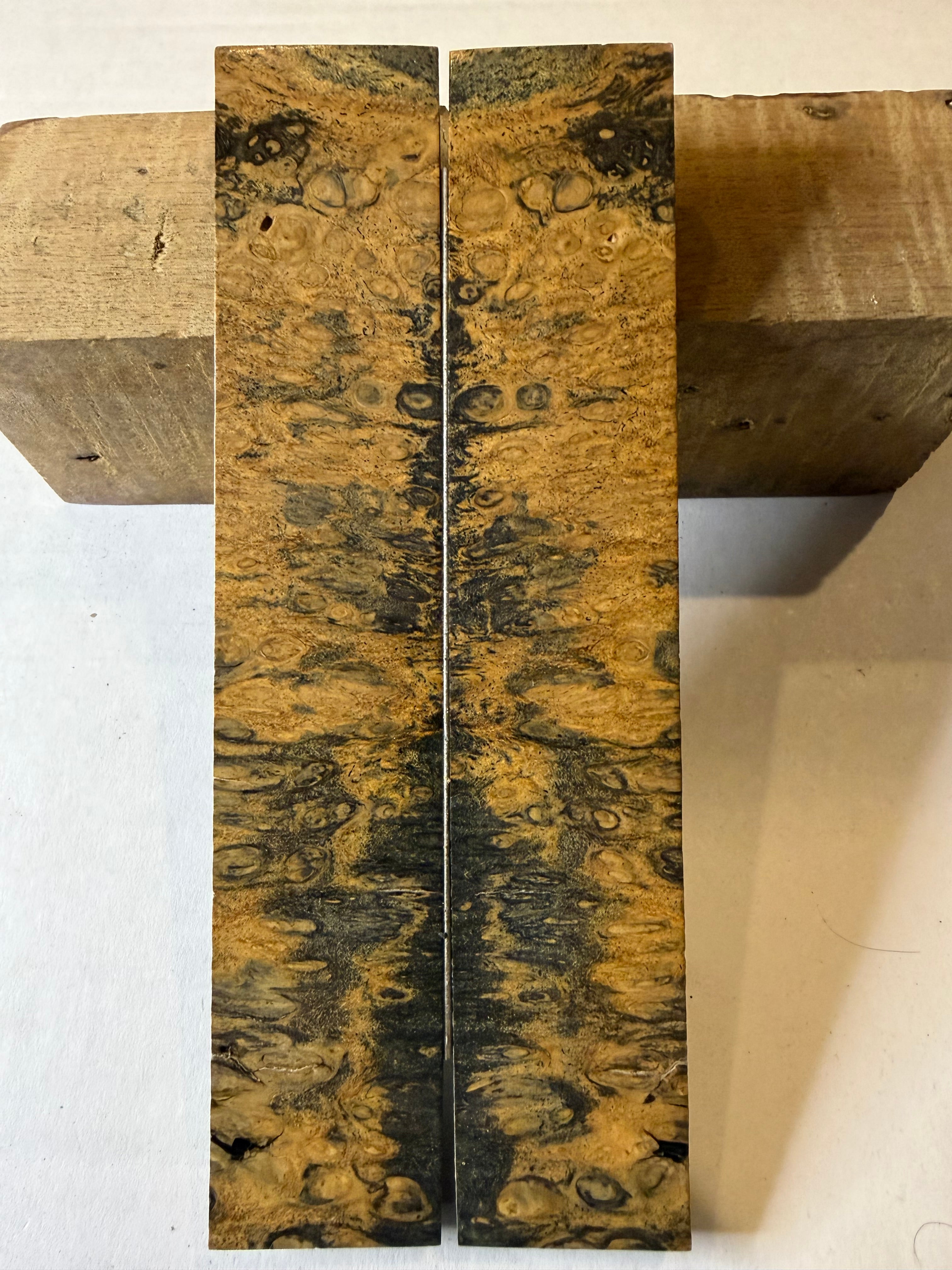 River Tamarind Burl | #0184