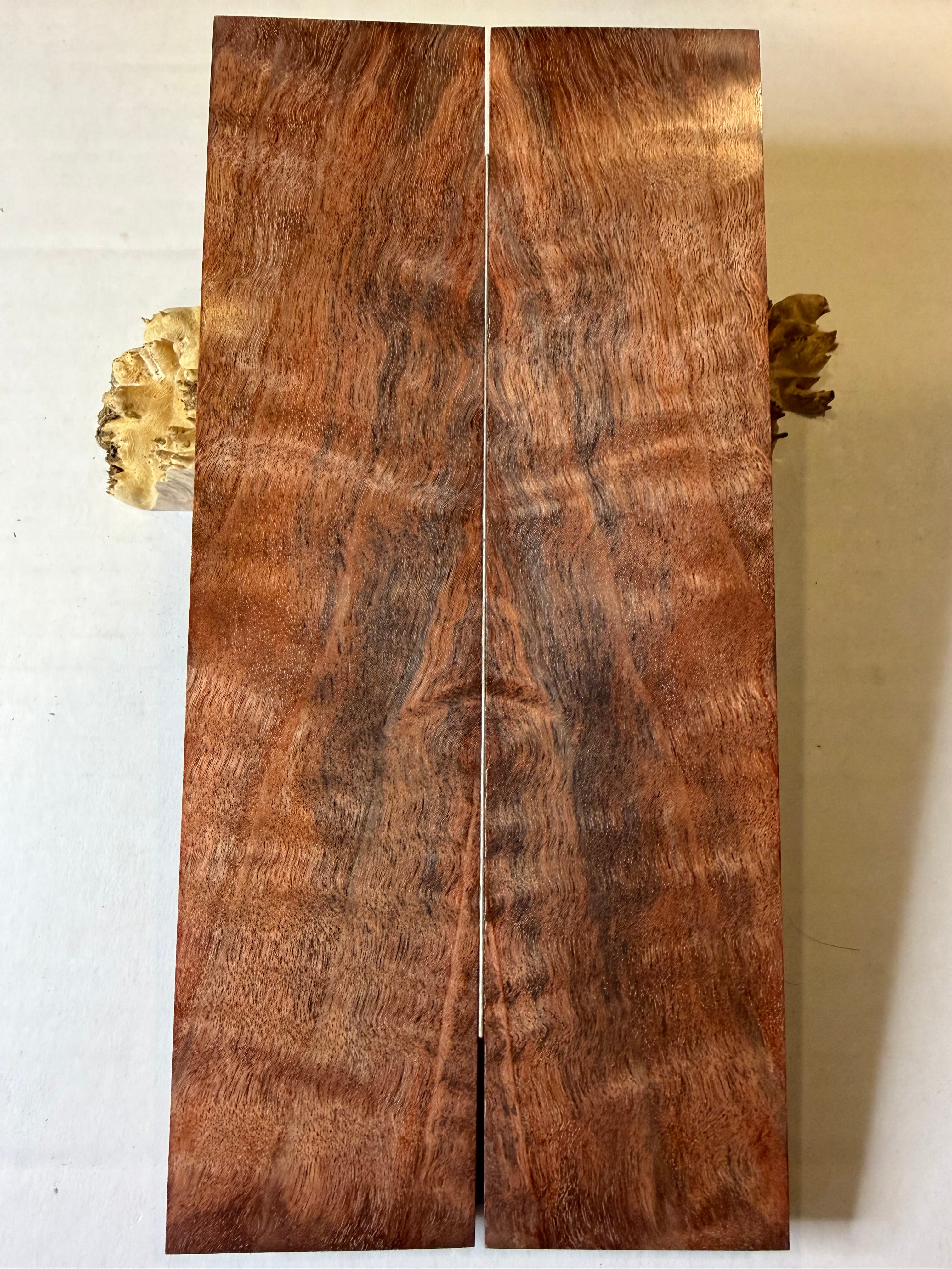 Cottonwood | #0190