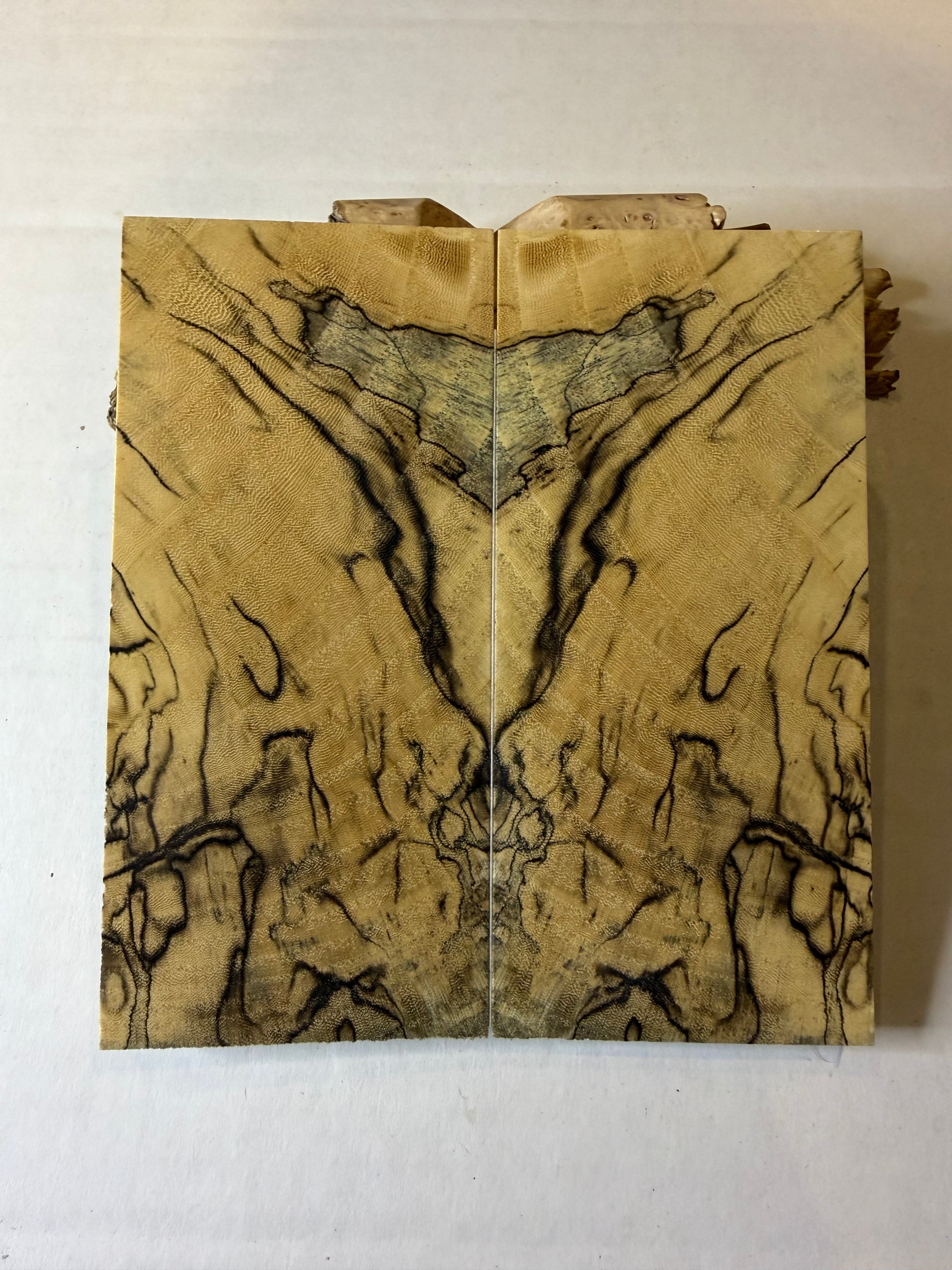 Hackberry | #0193