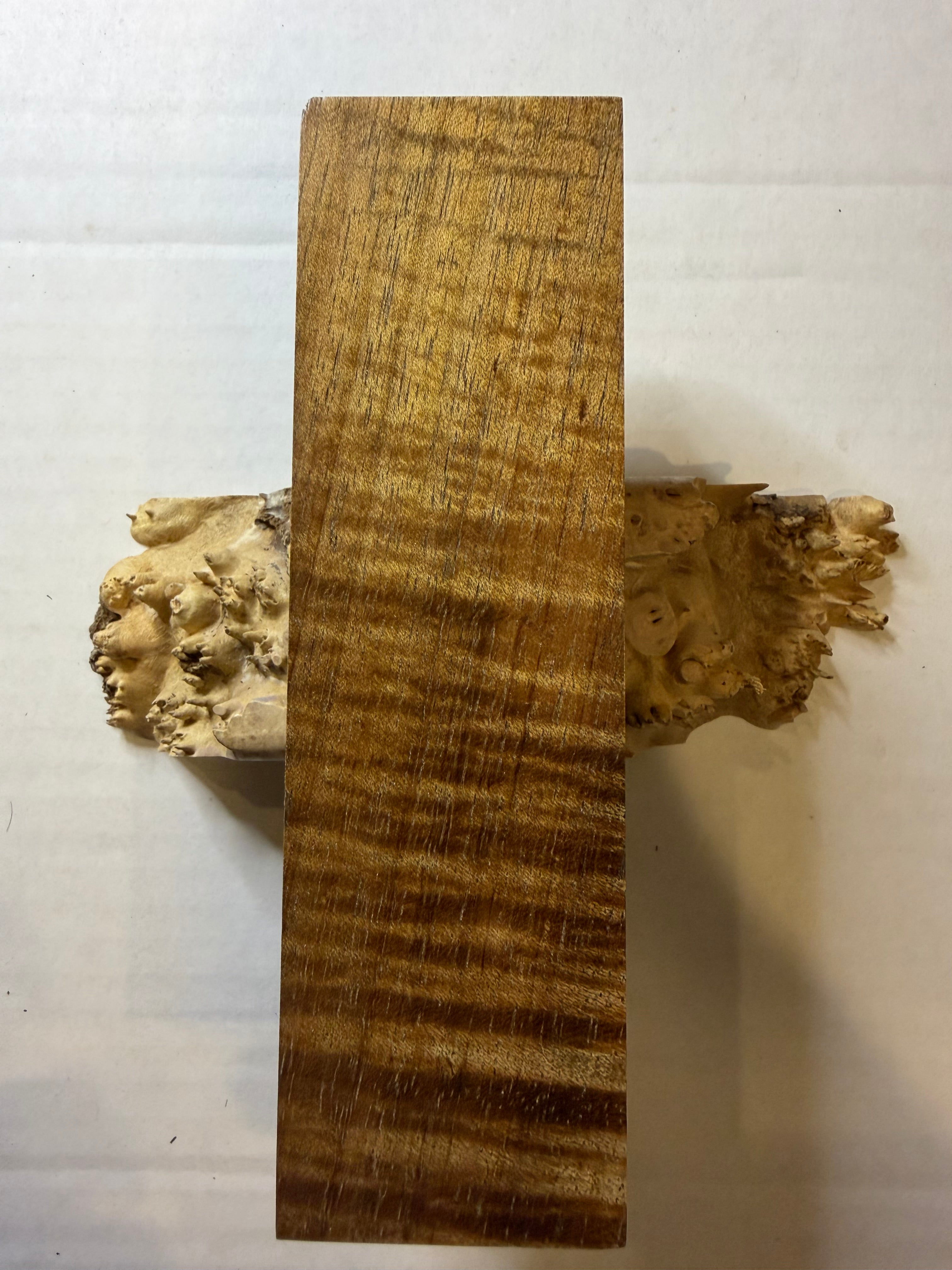Tasmanian Blackwood | #0215