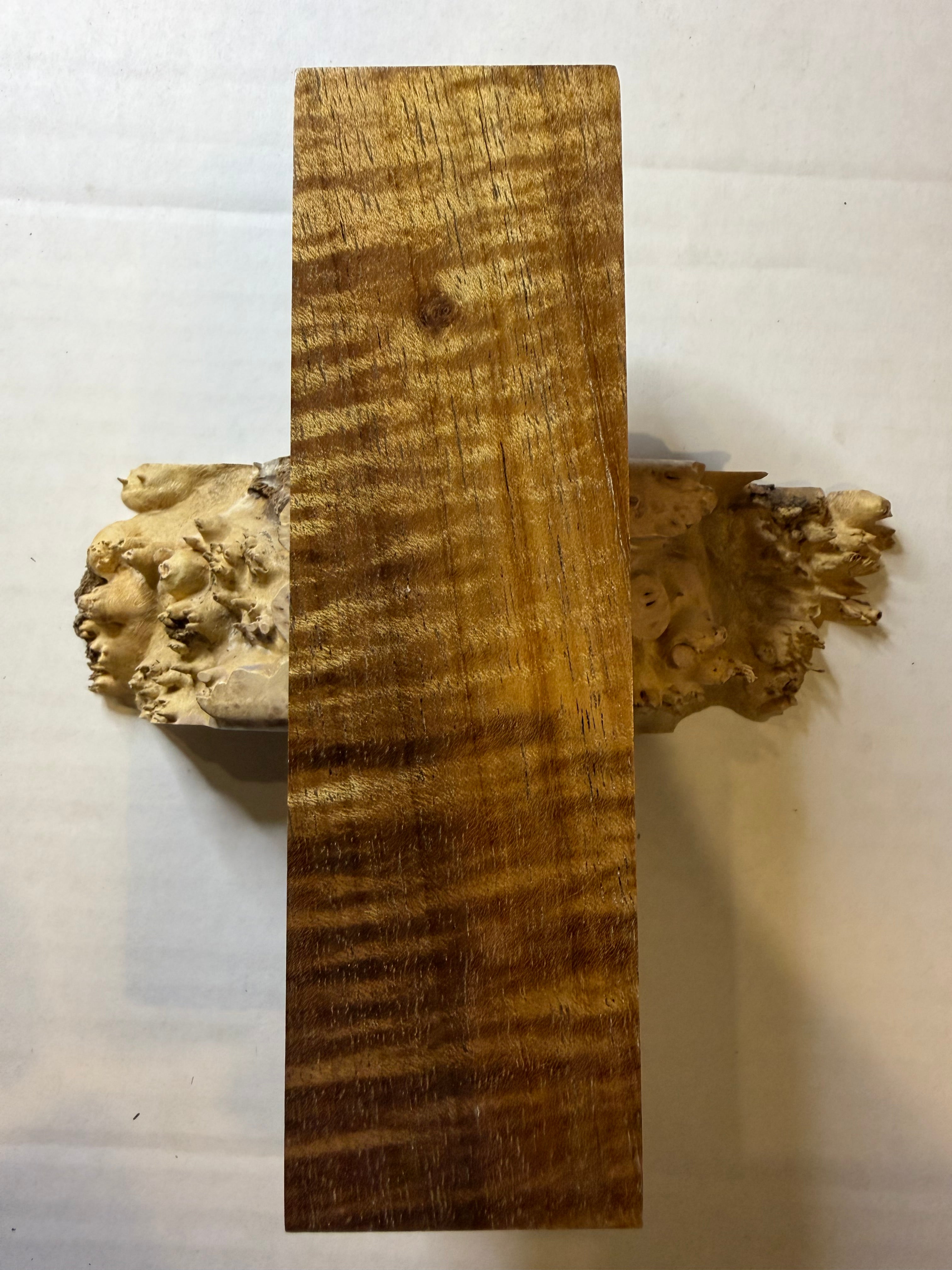 Tasmanian Blackwood | #0215