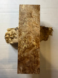Birch Burl | #0216