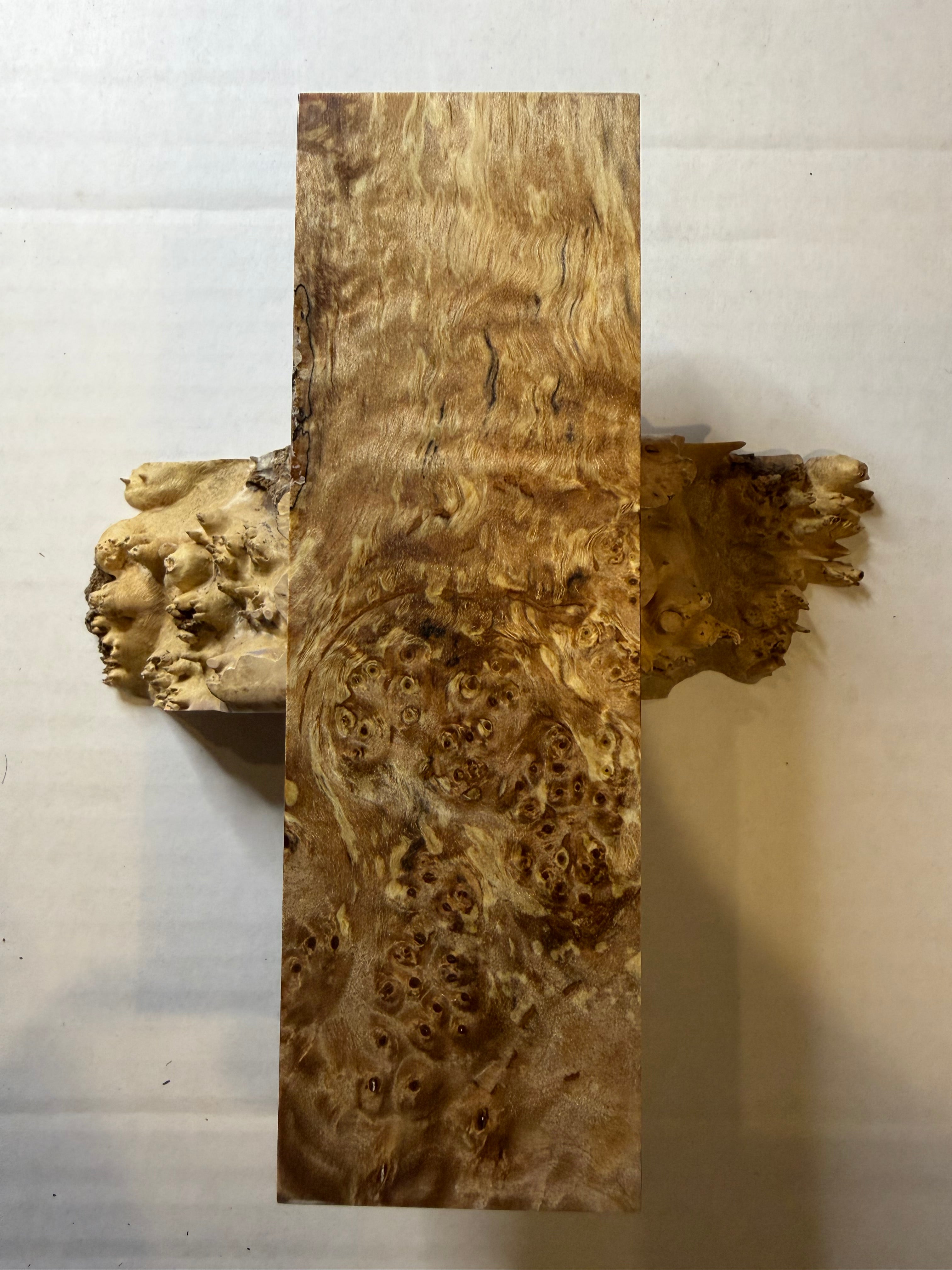 Birch Burl | #0216