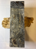 Buckeye Burl | #0224