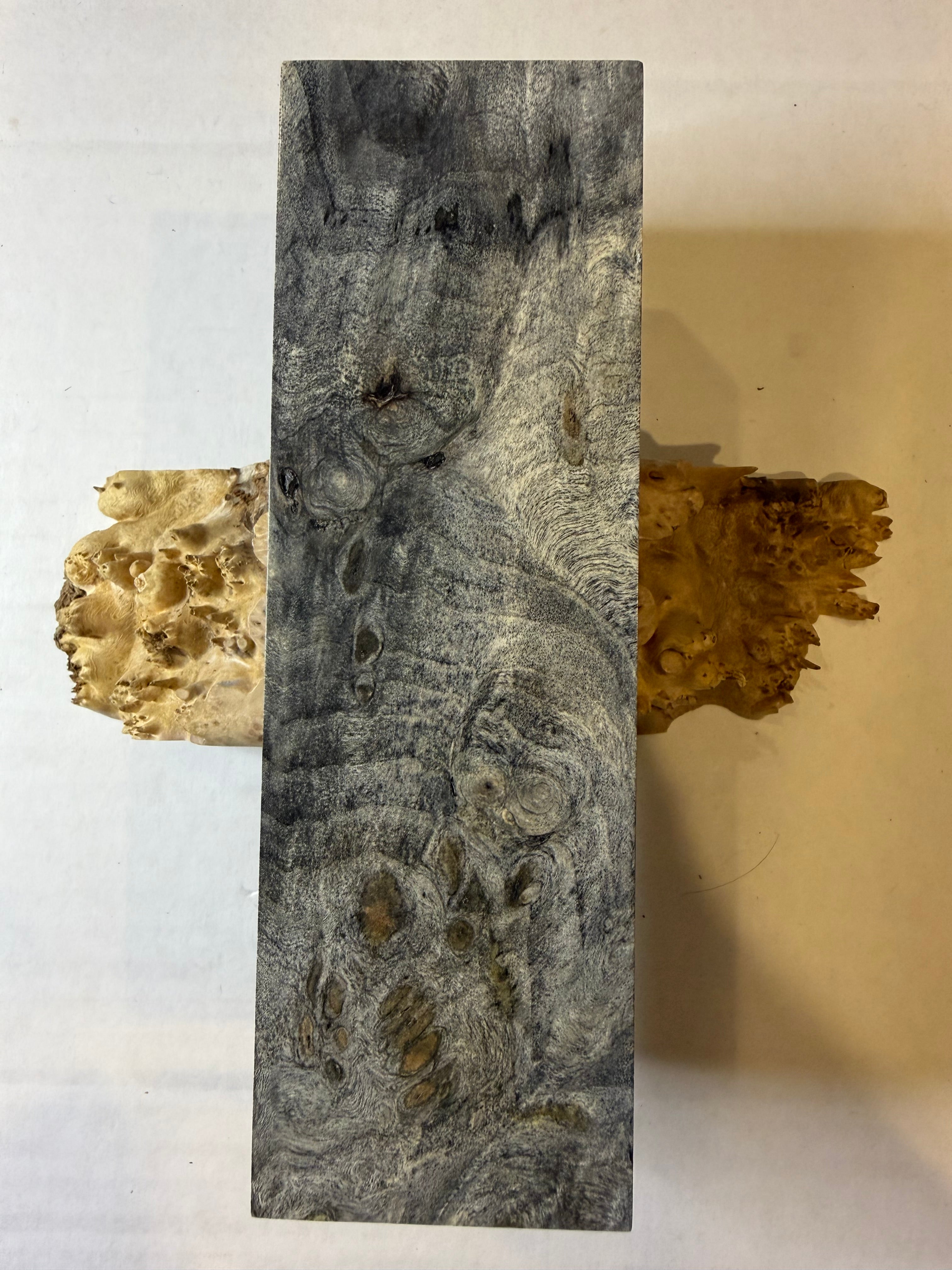 Buckeye Burl | #0224