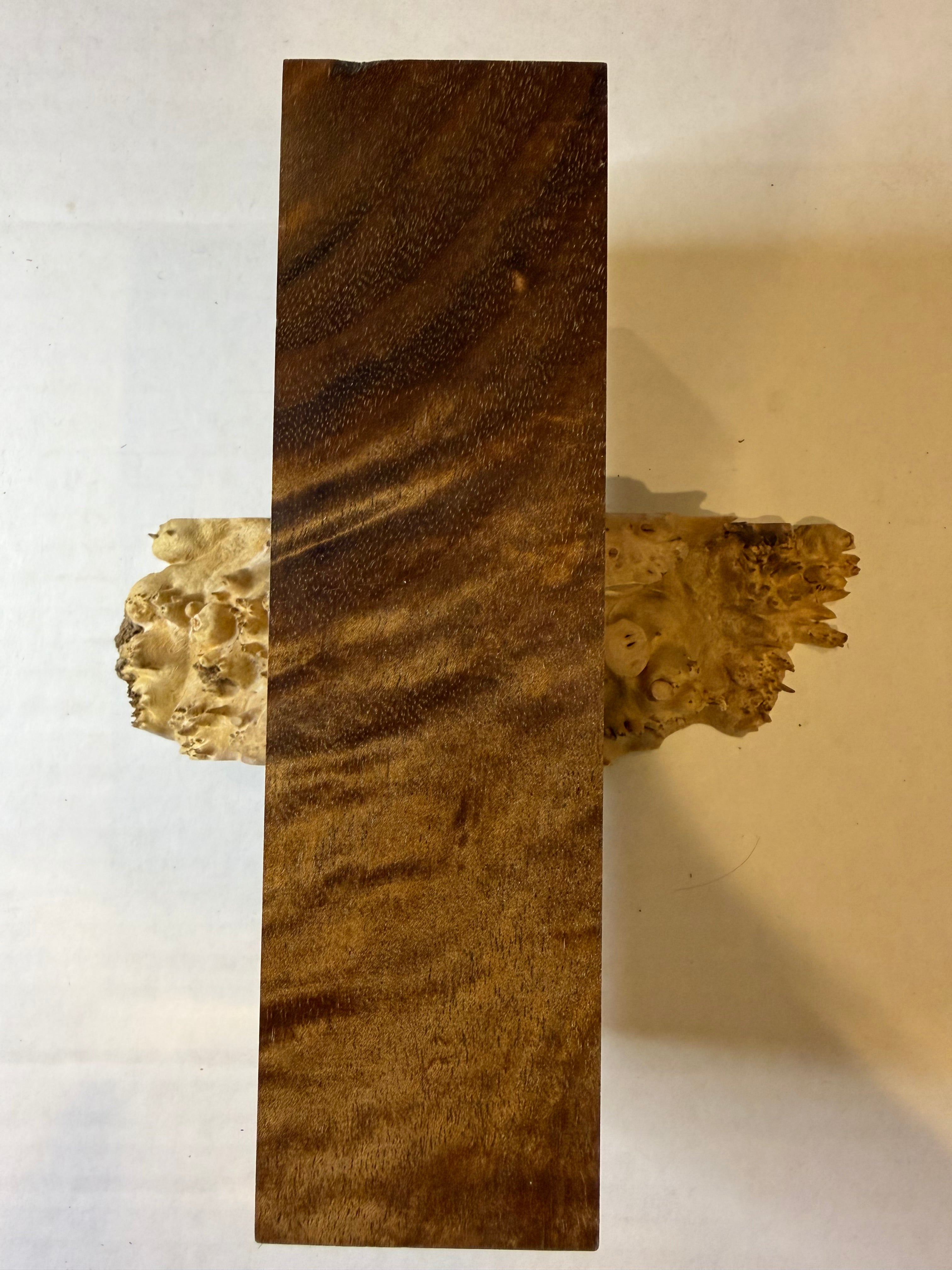 Tasmanian Blackwood | #0226