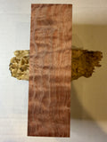 Maple | #0234