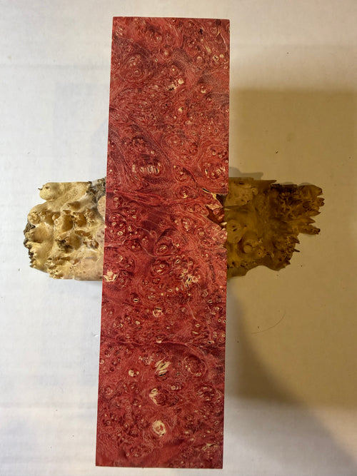 Boxelder Burl | #0235