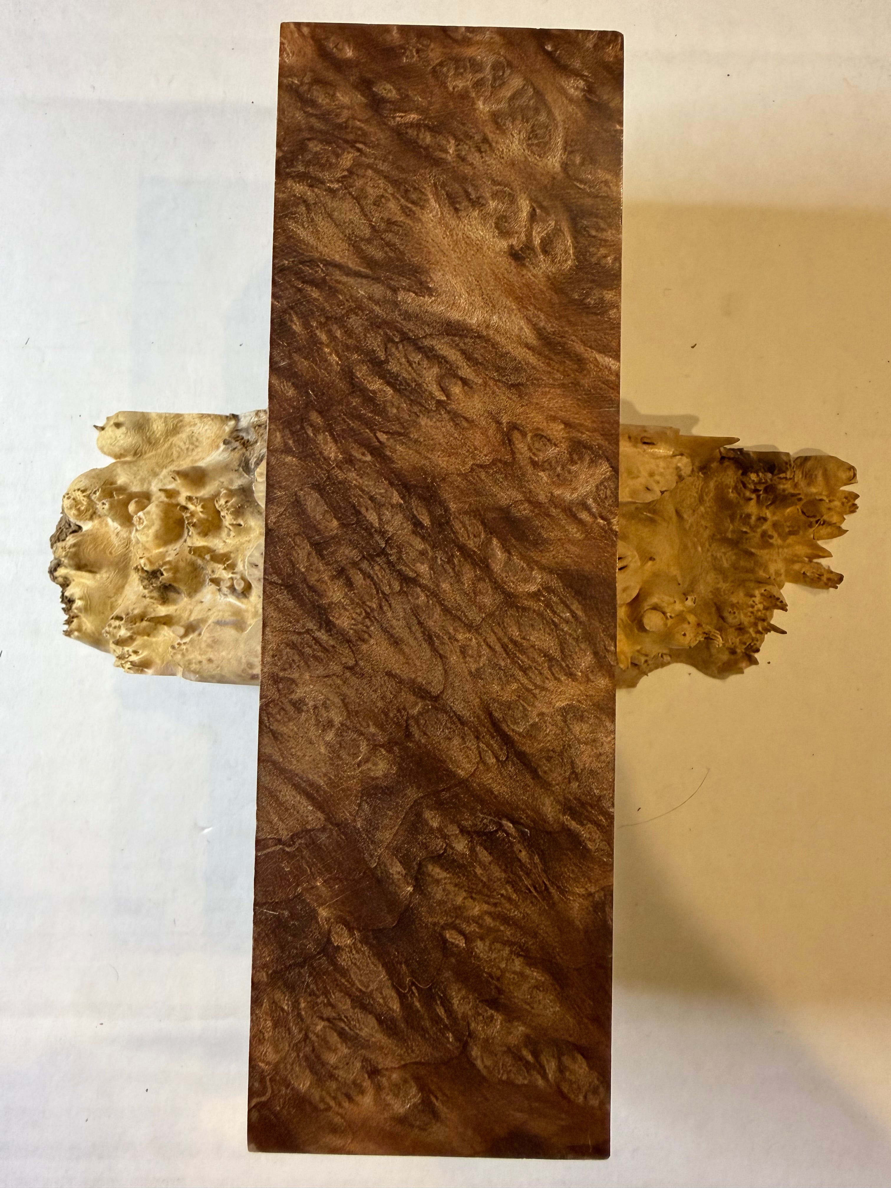 Redwood Burl | #0236