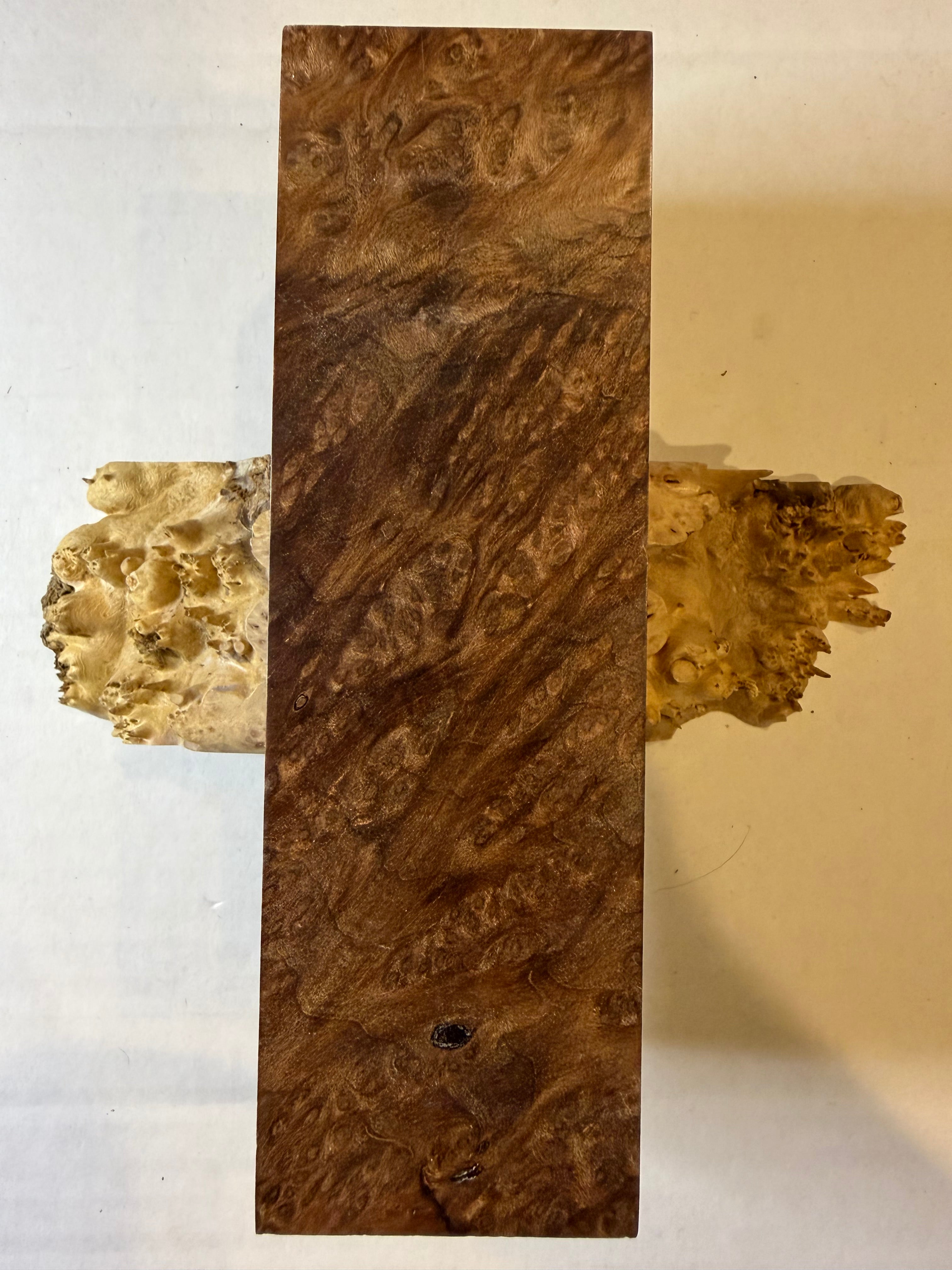 Redwood Burl | #0236