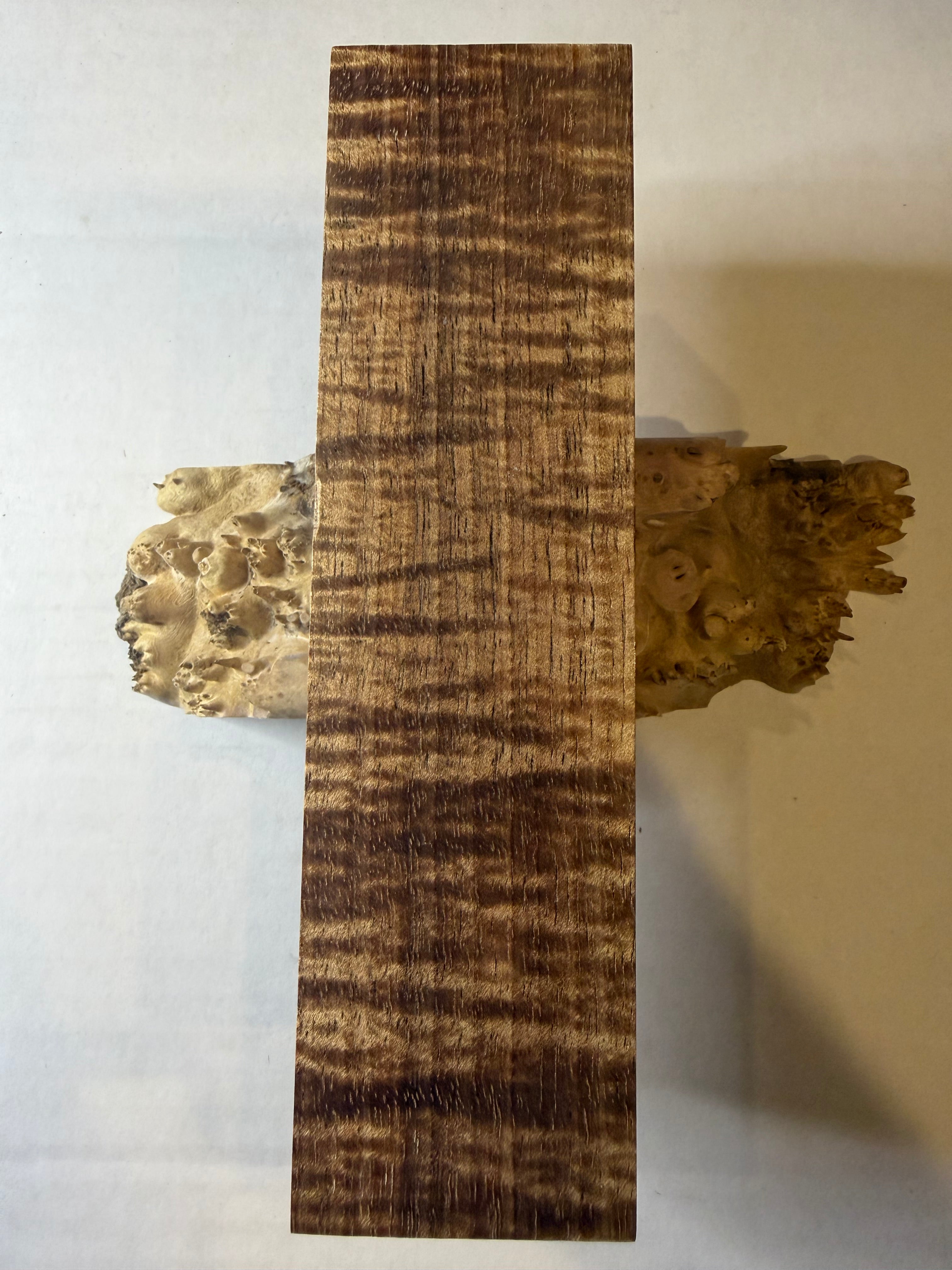 Tasmanian Blackwood | #0237