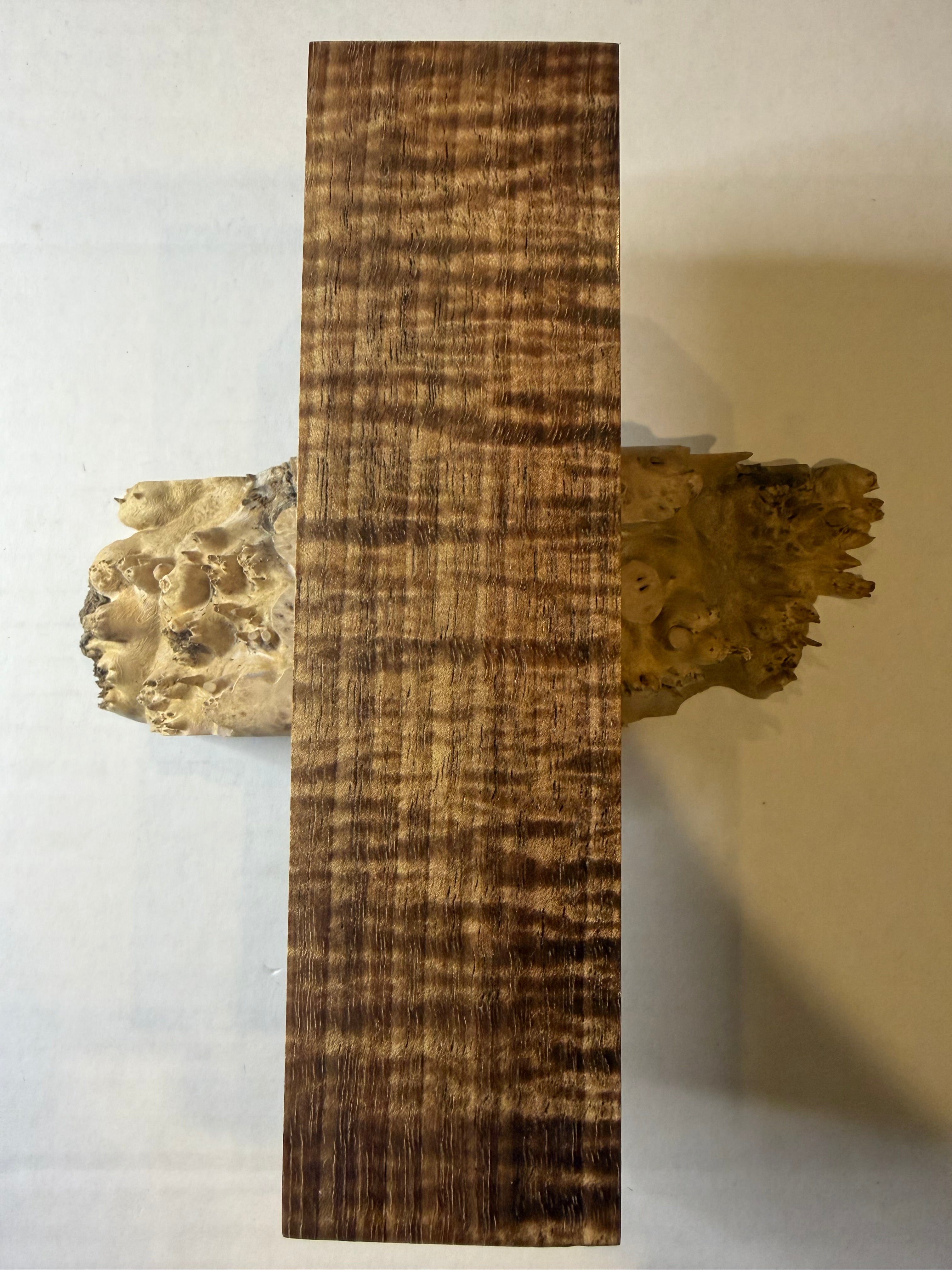 Tasmanian Blackwood | #0237