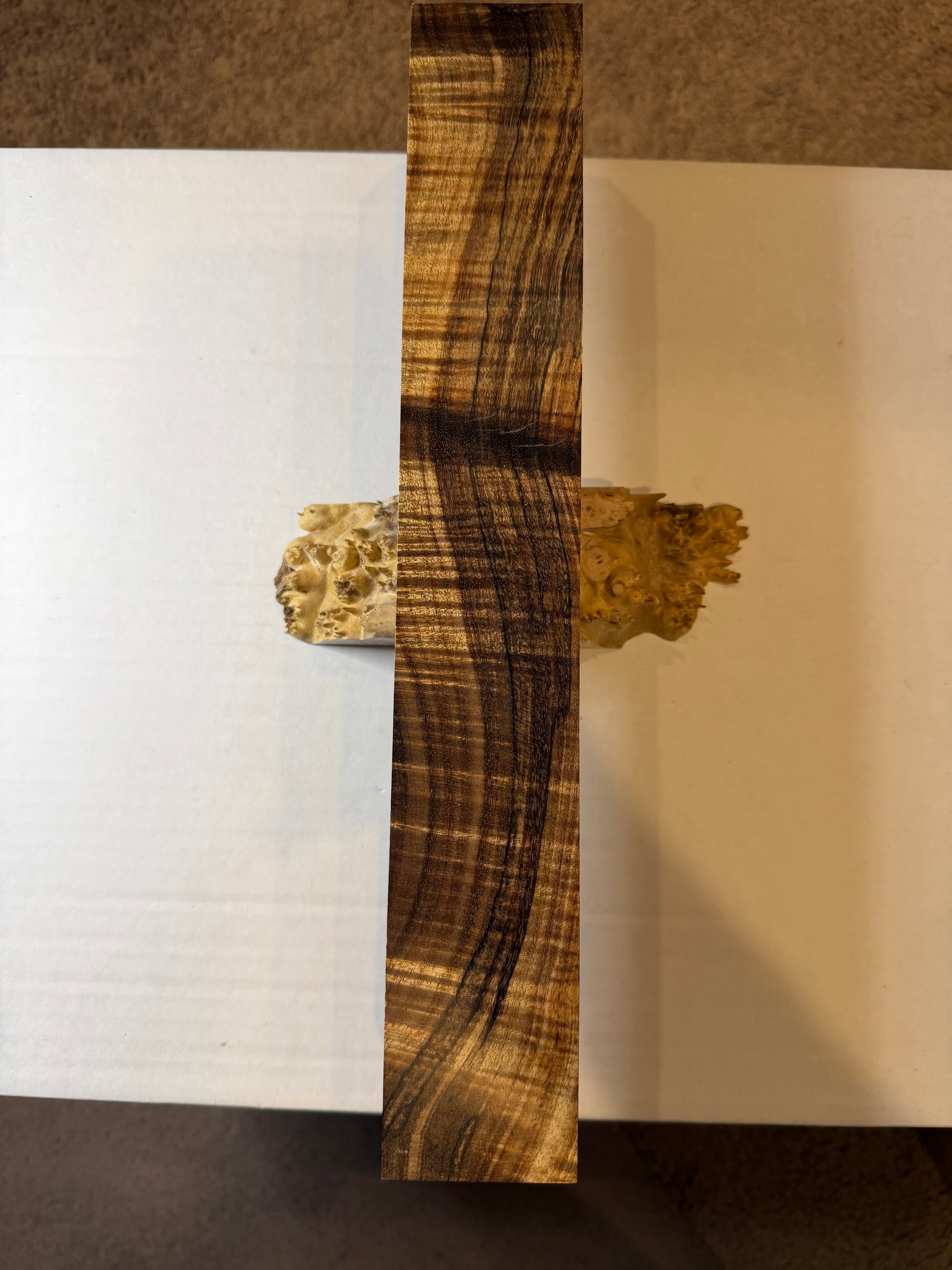 Tasmanian Blackwood | #0239