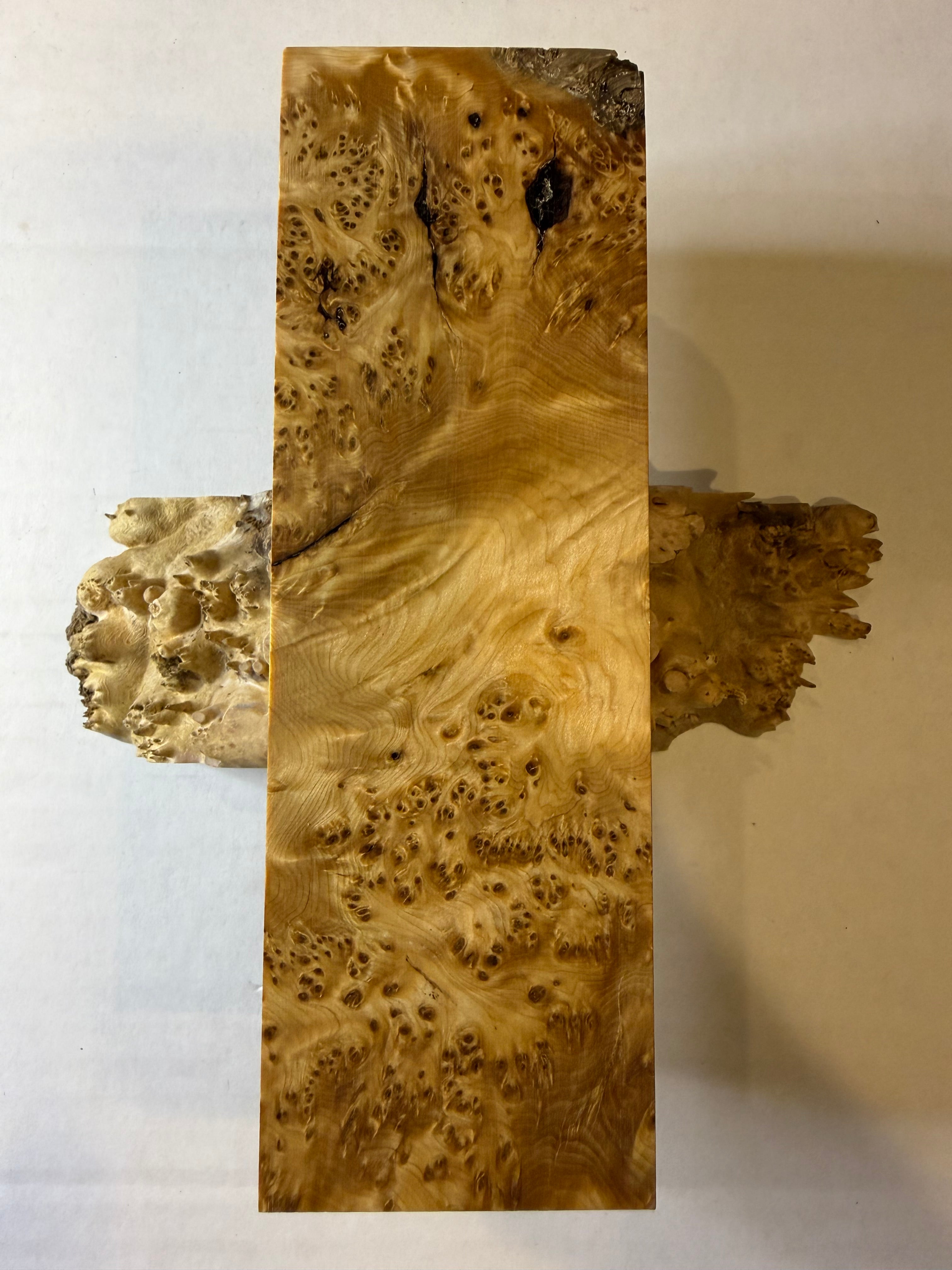 Yellow Cedar Burl | #0245