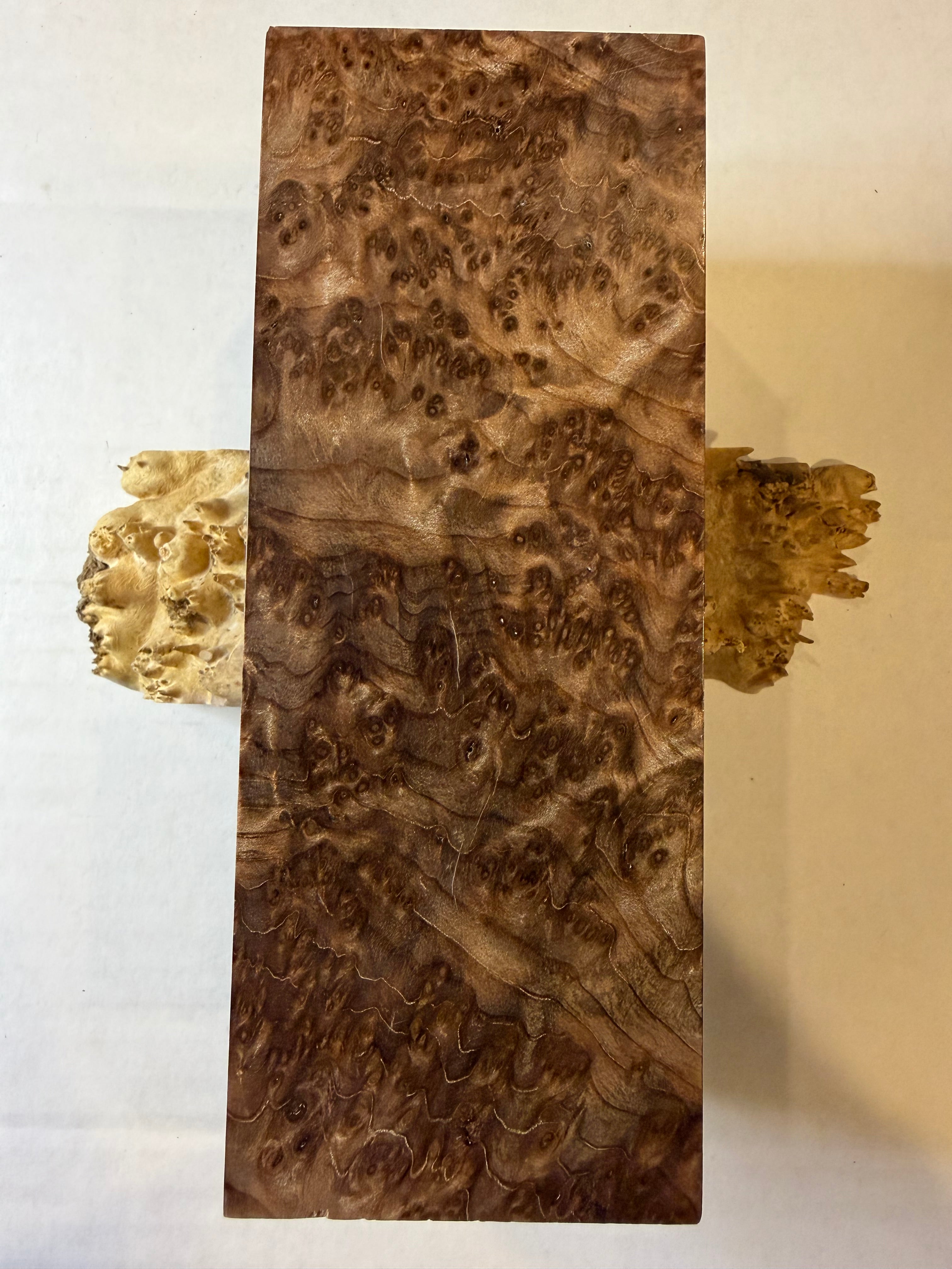 Redwood Burl | #0244
