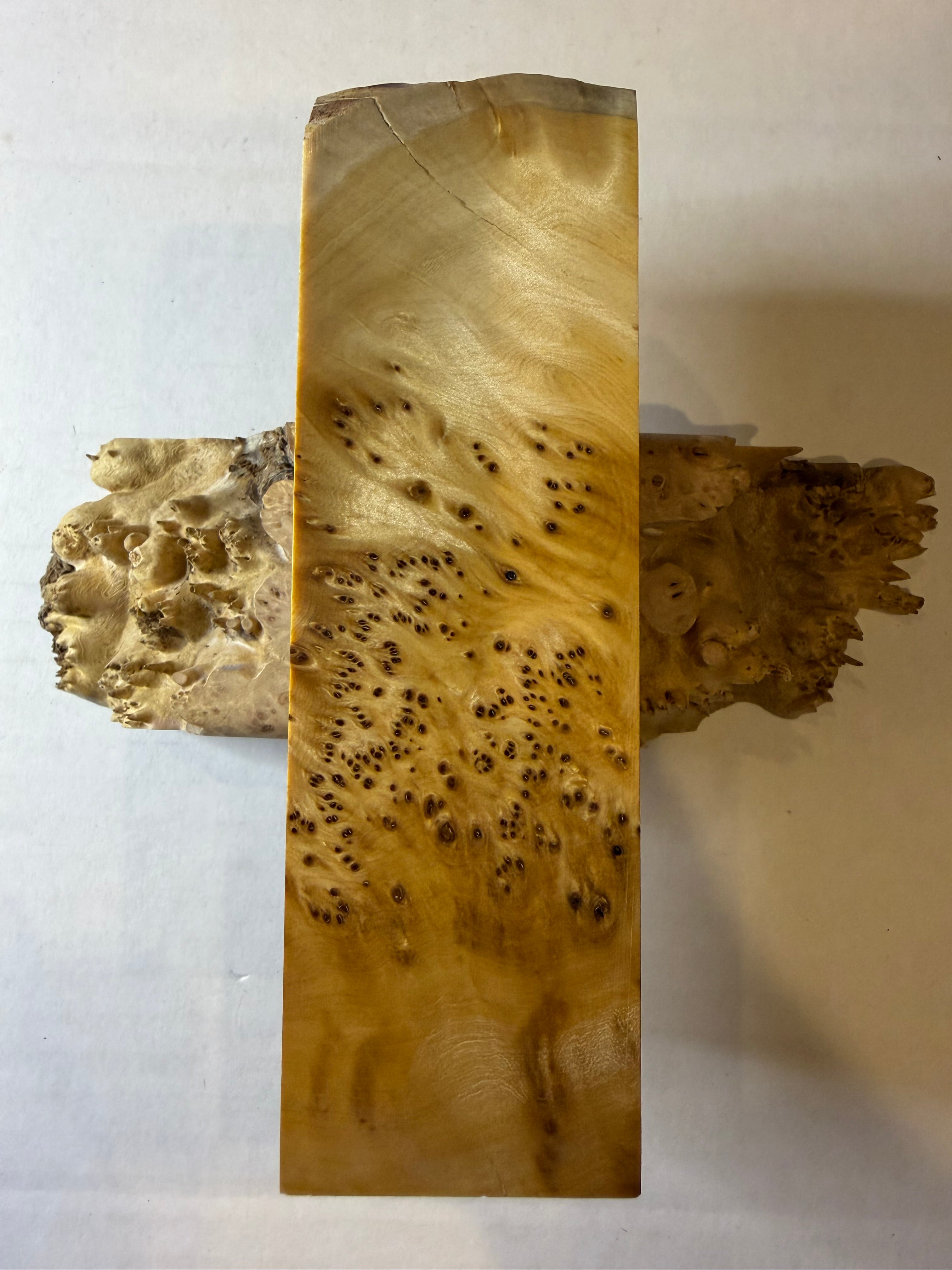Yellow Cedar Burl | #0243