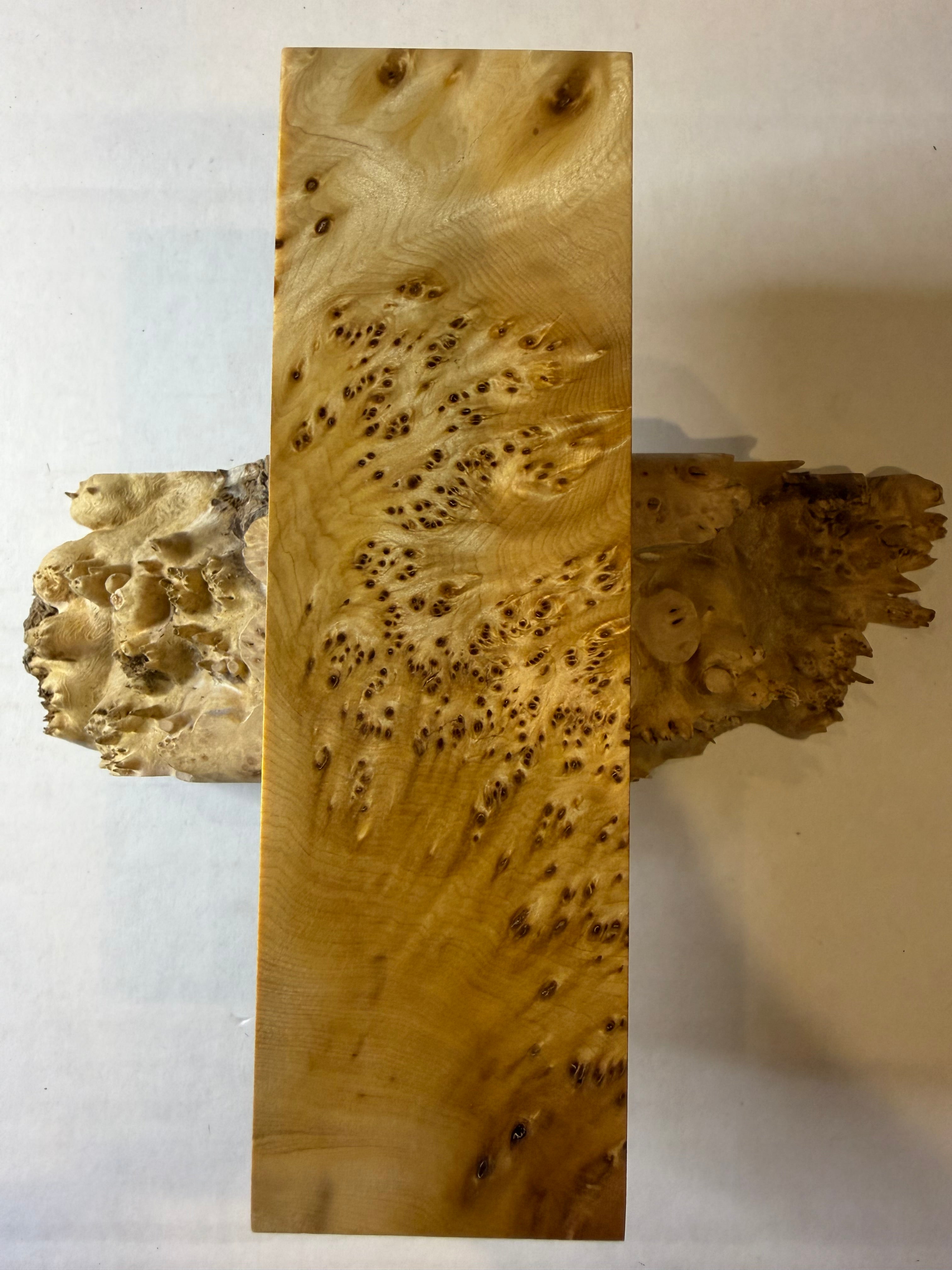 Yellow Cedar Burl | #0243