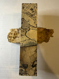 Hackberry | #0247