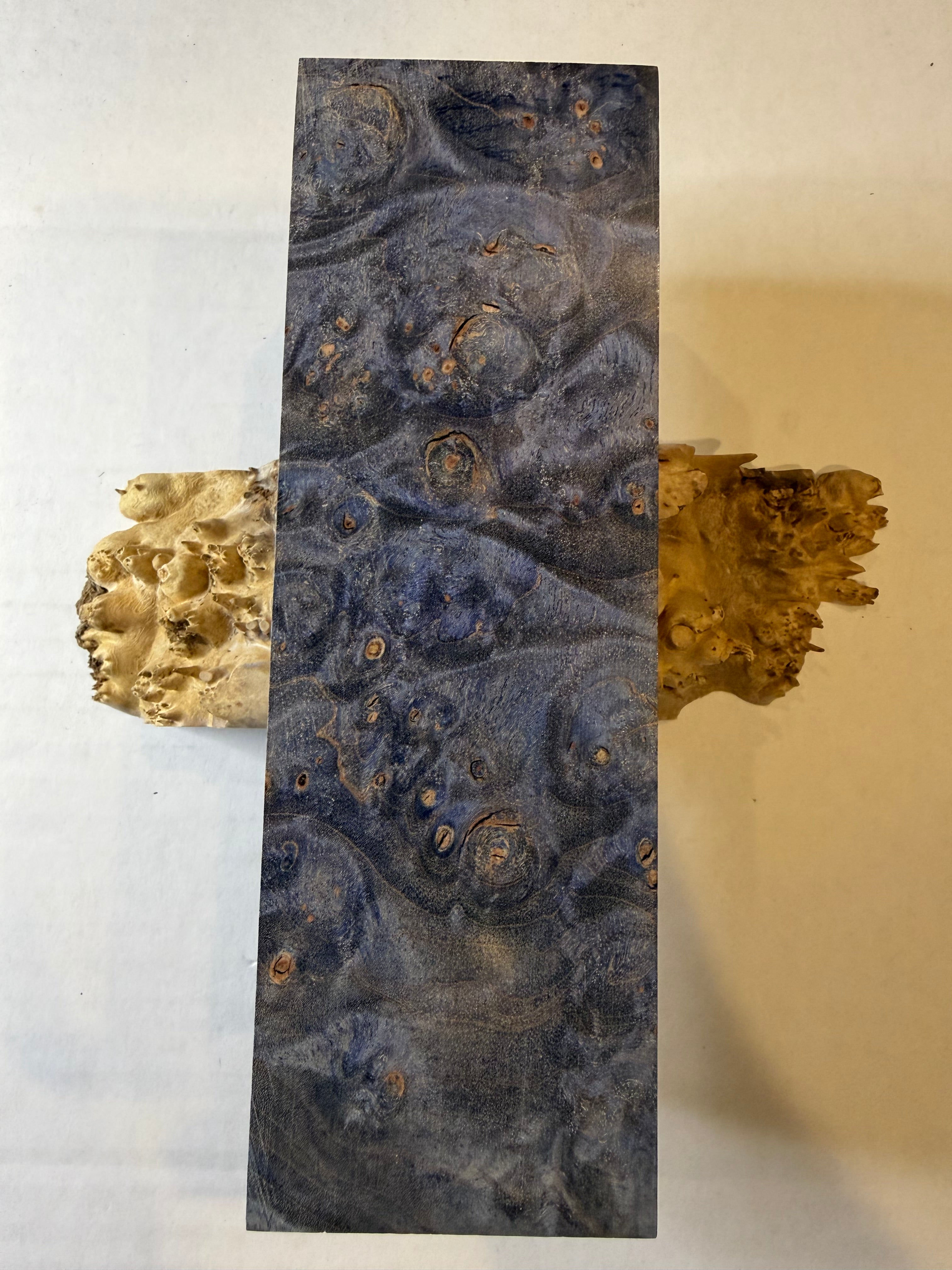 Maple Burl | #0250