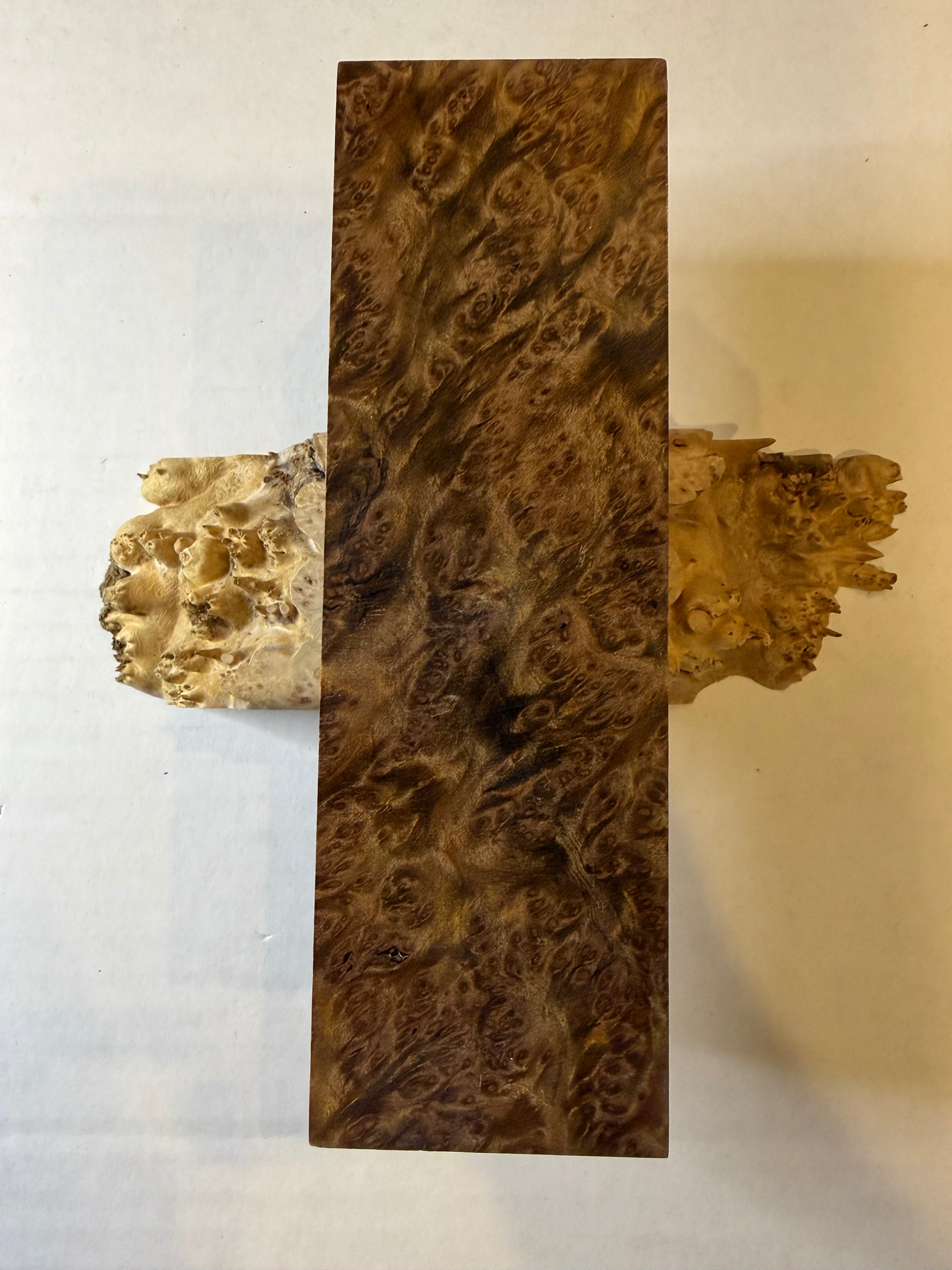 Redwood Burl | #0248