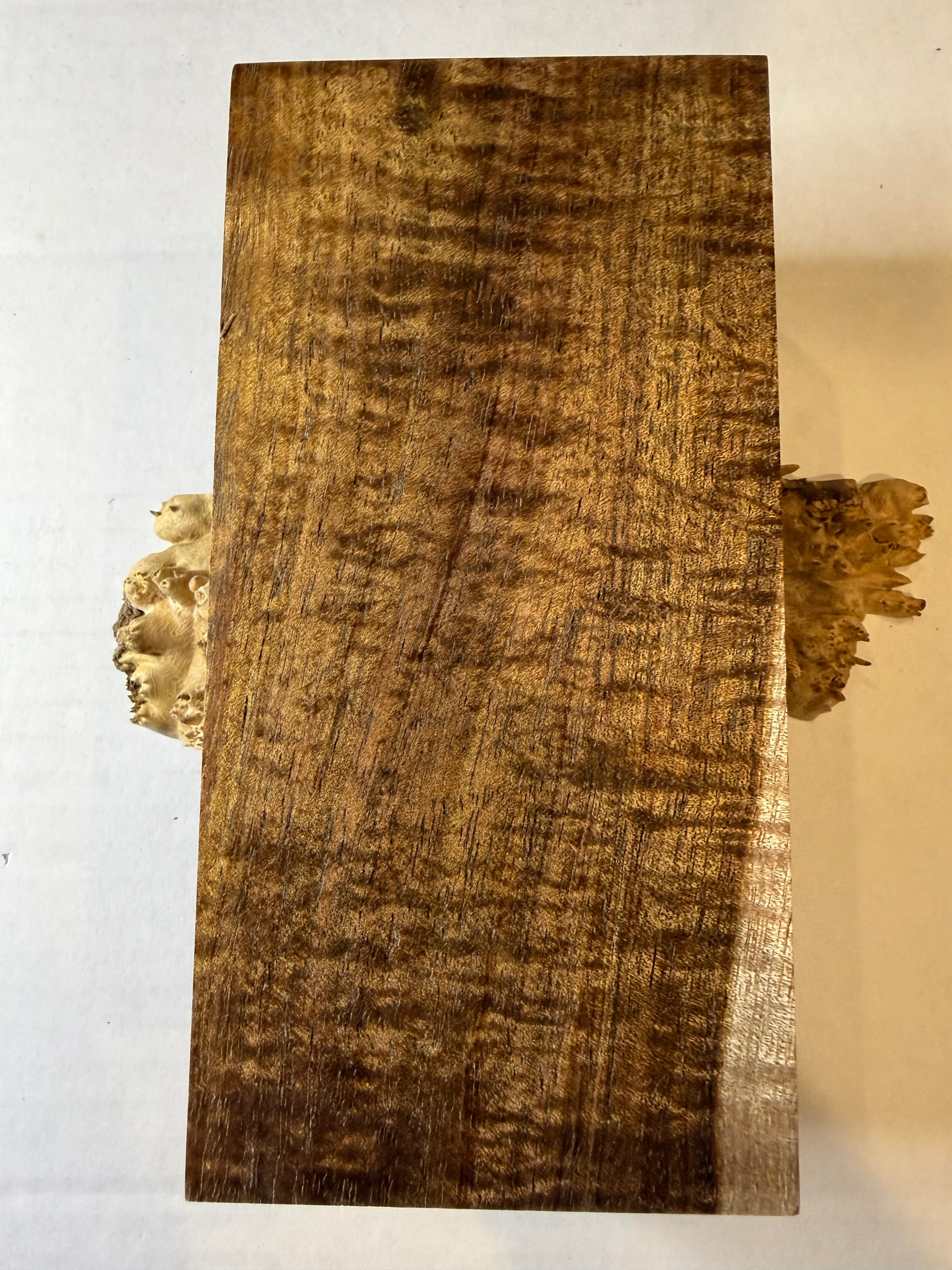 Tasmanian Blackwood | #0256