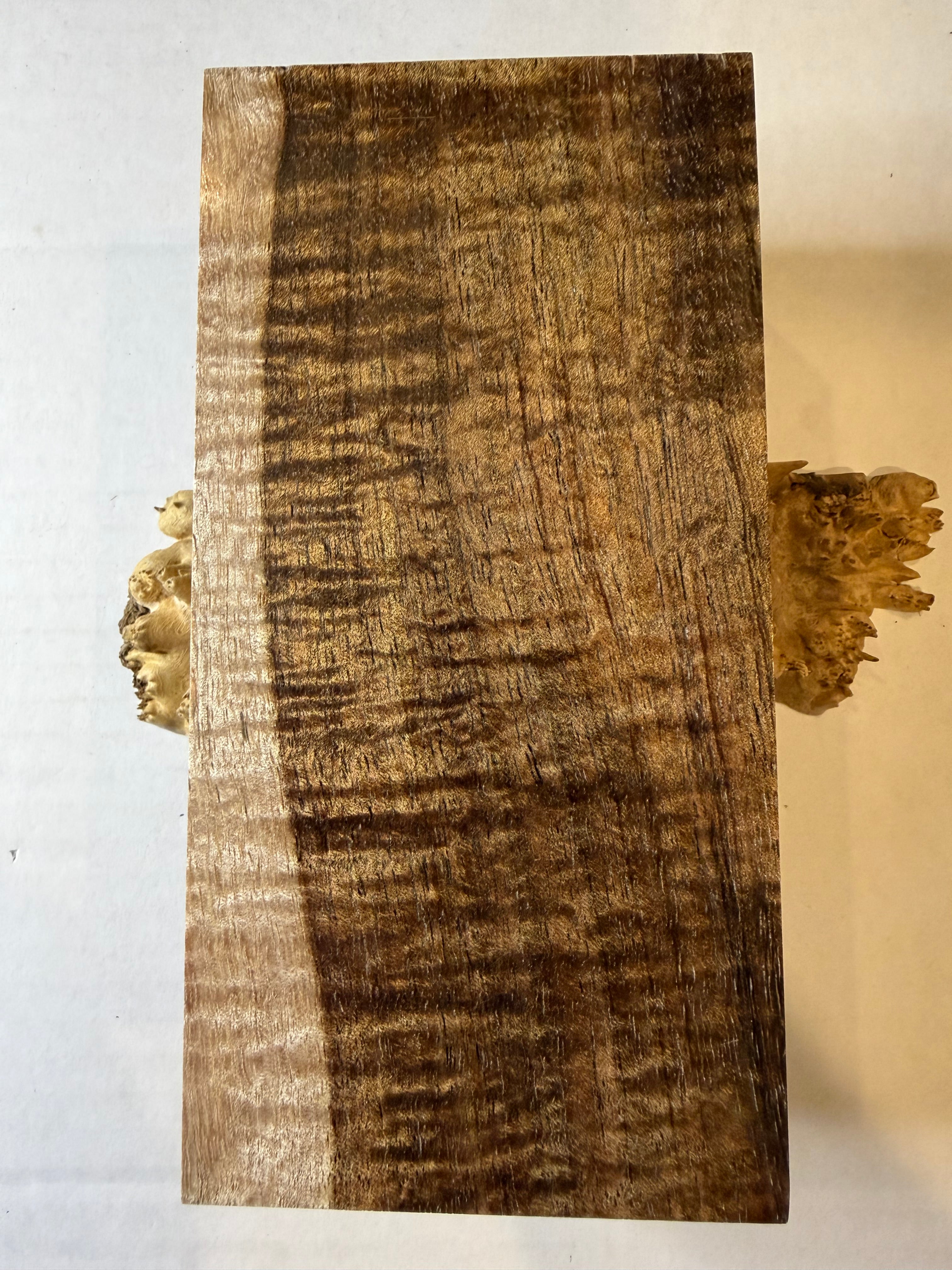 Tasmanian Blackwood | #0256
