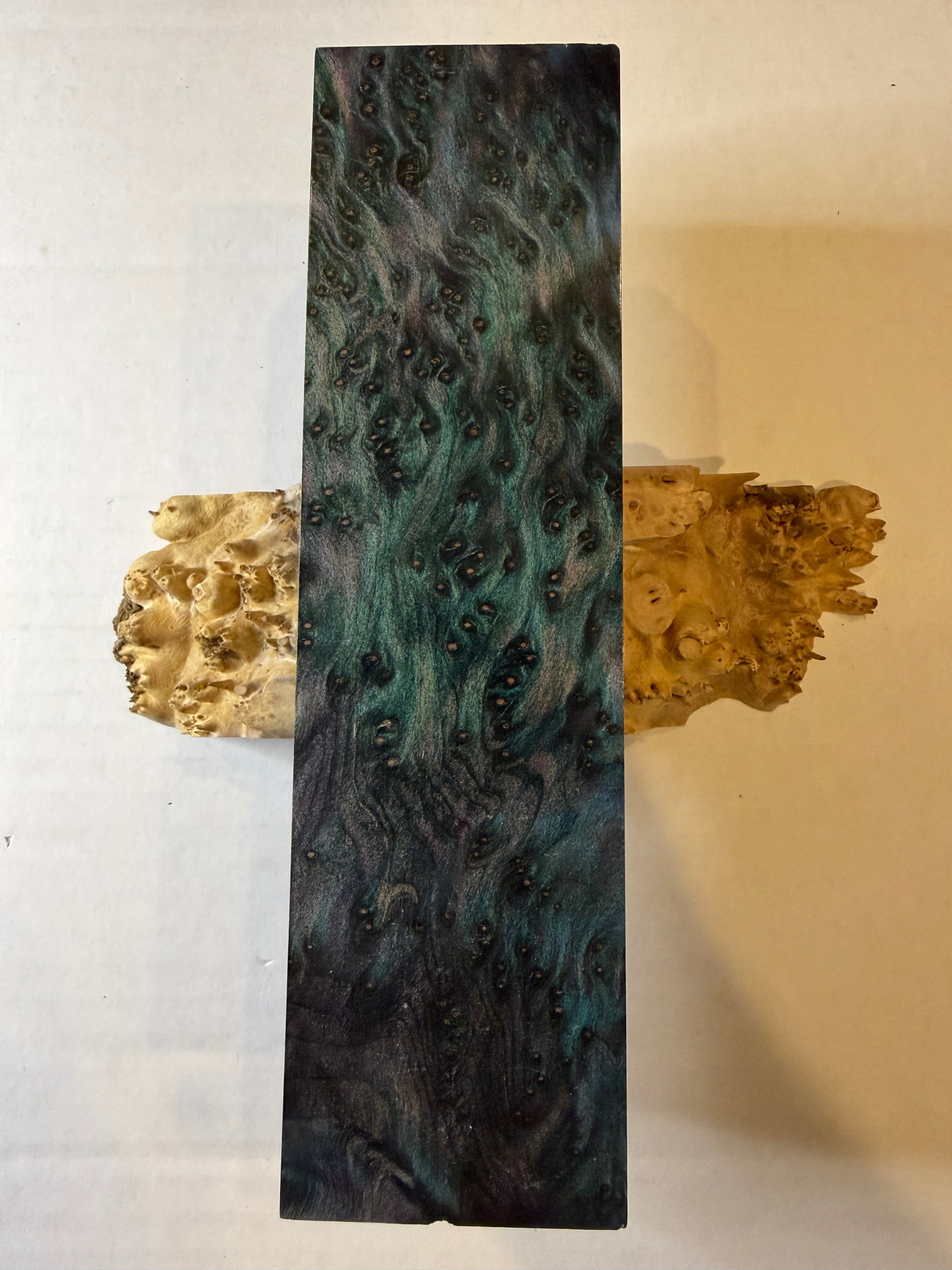 Redwood Burl | #0253