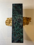 Redwood Burl | #0253