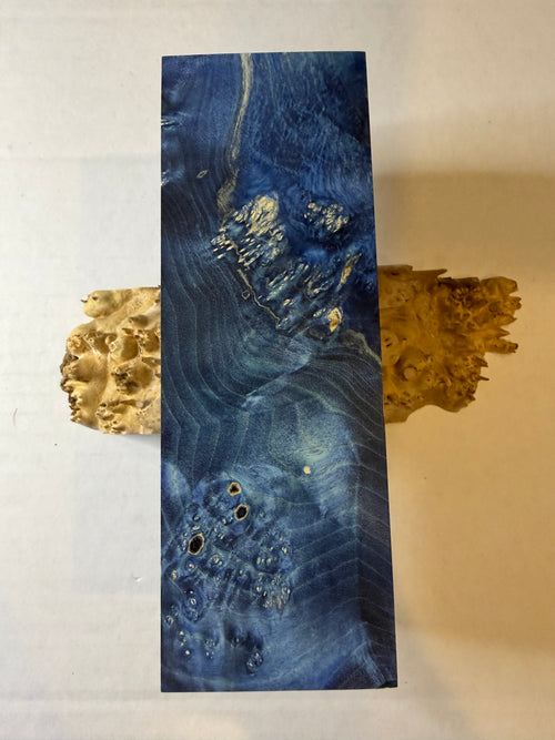 Boxelder Burl | #0261