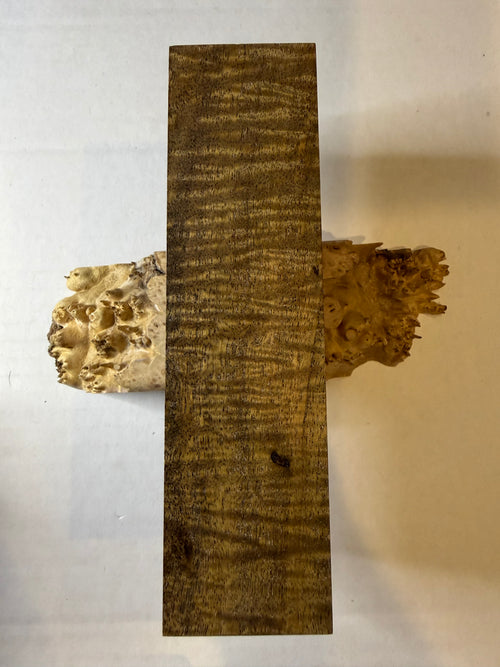 Acacia | #0264