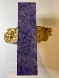 Boxelder Burl | #0269