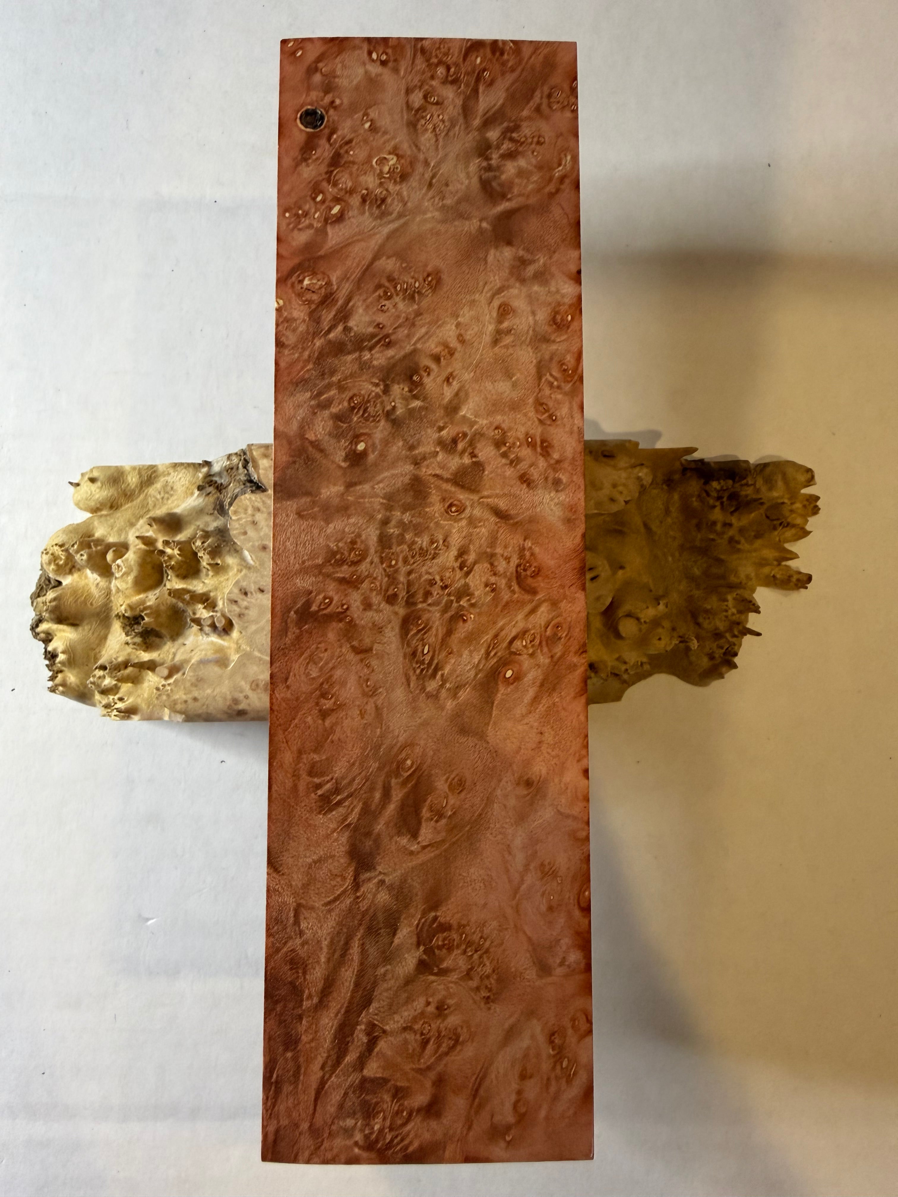 Boxelder Burl | #0267