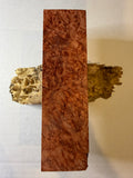 Boxelder Burl | #0267
