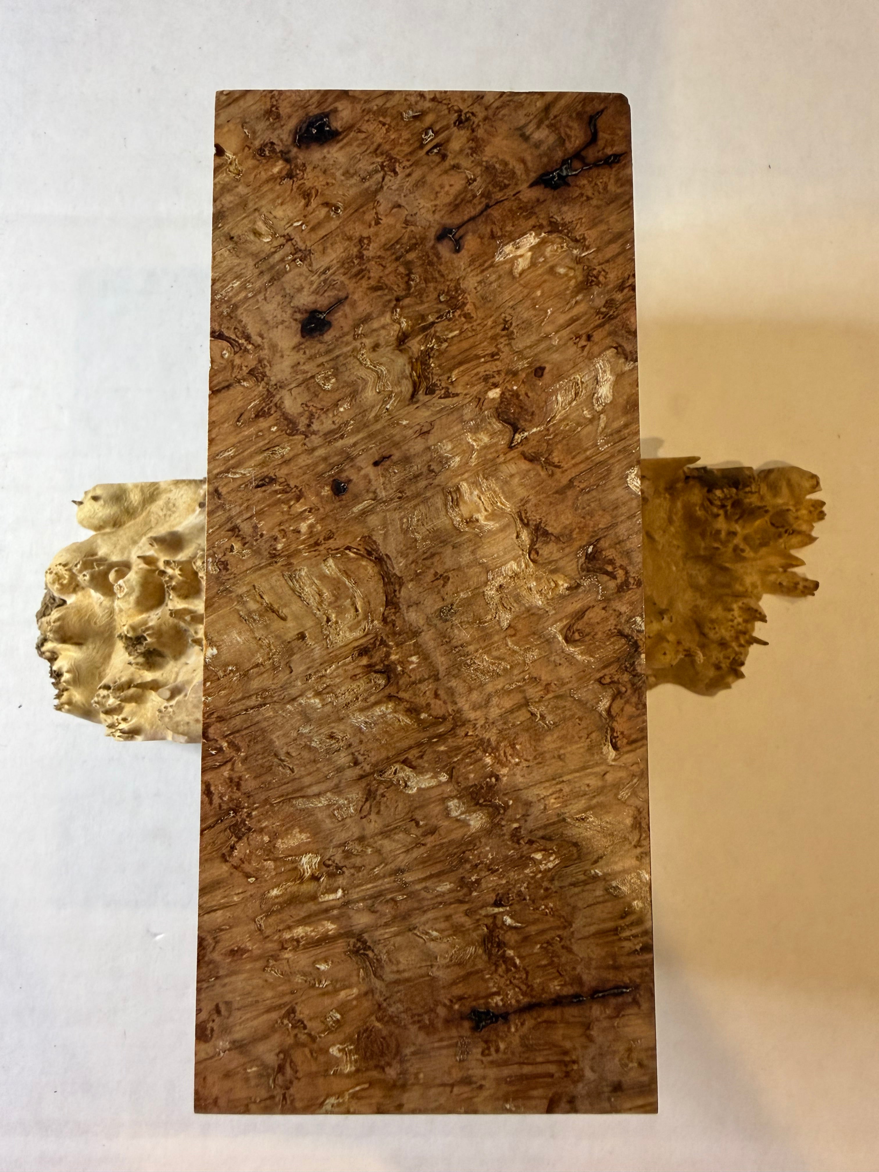 Oak Burl | #0270