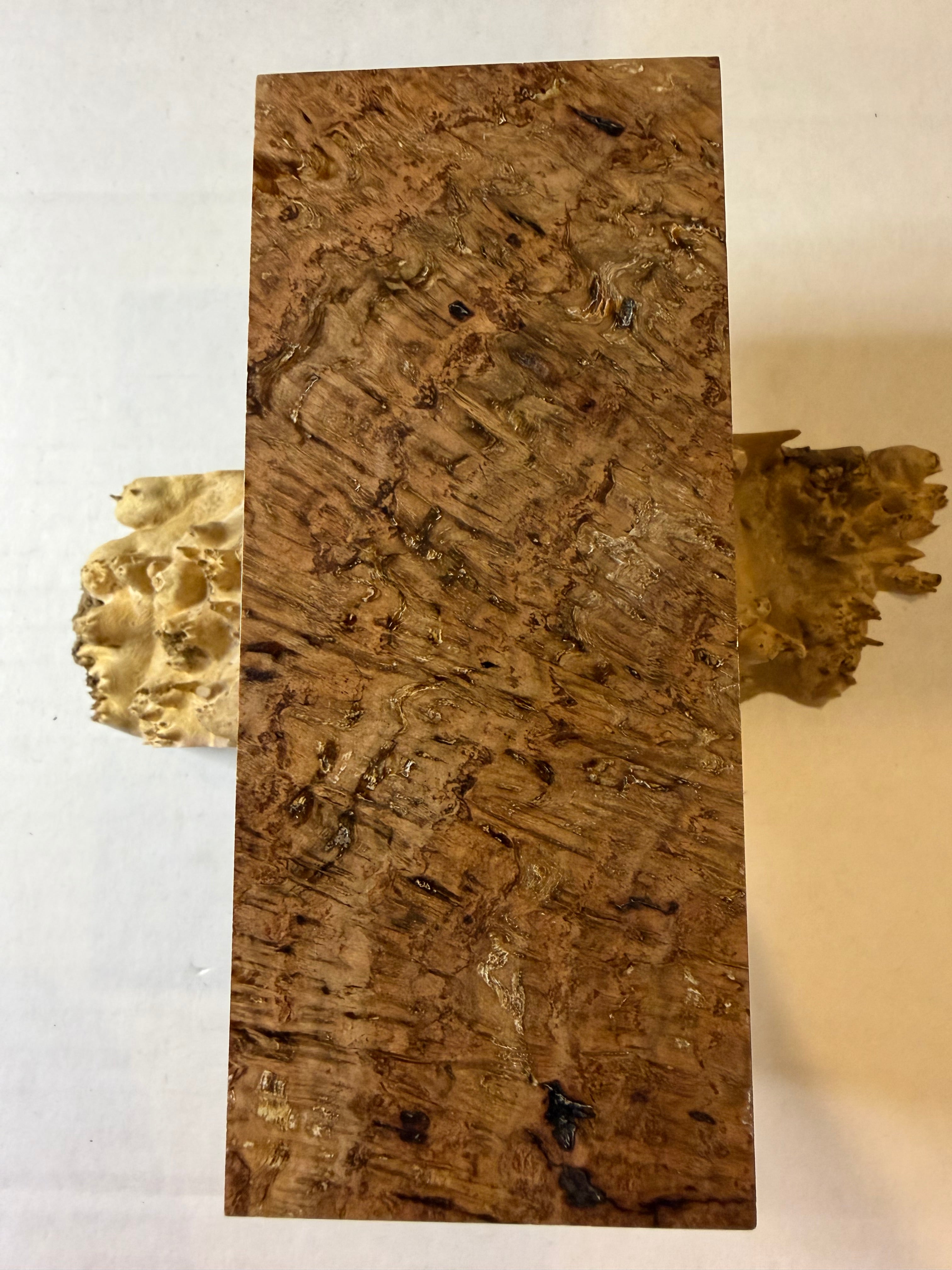 Oak Burl | #0270