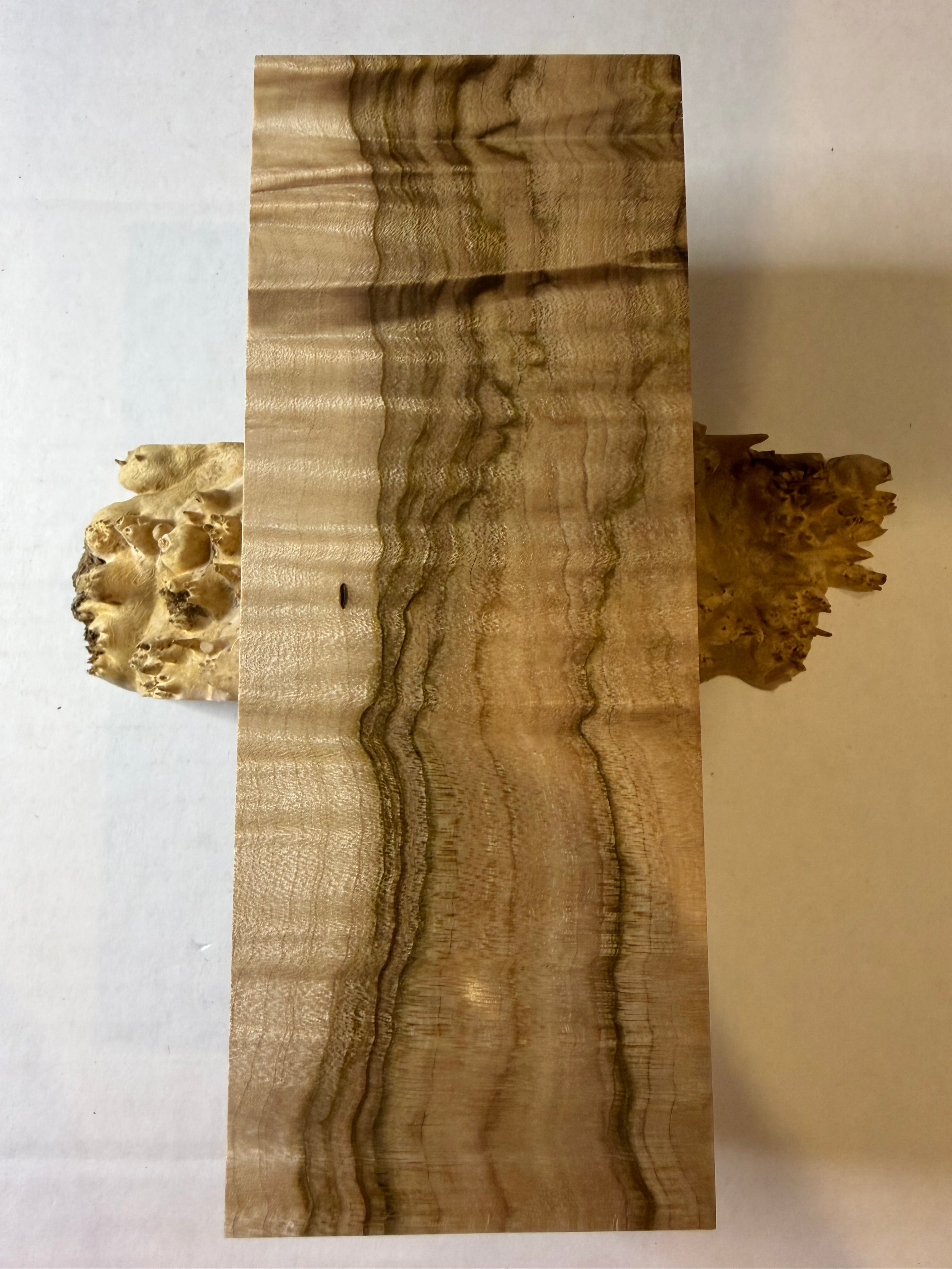 Maple | #0271