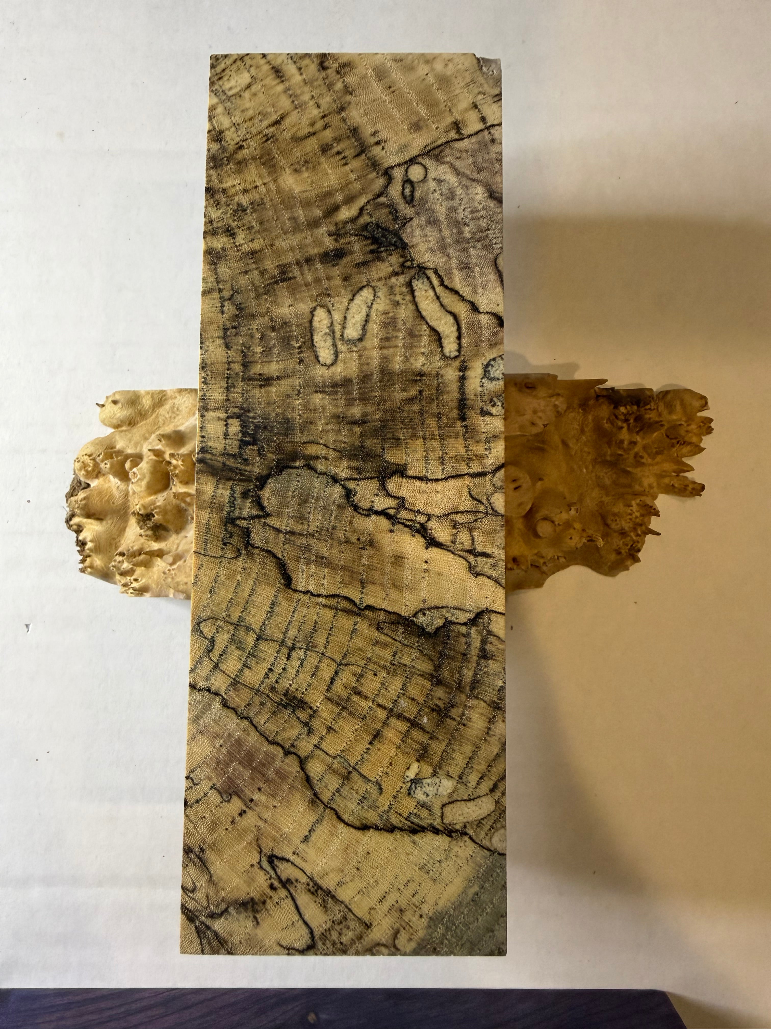 Hackberry | #0273