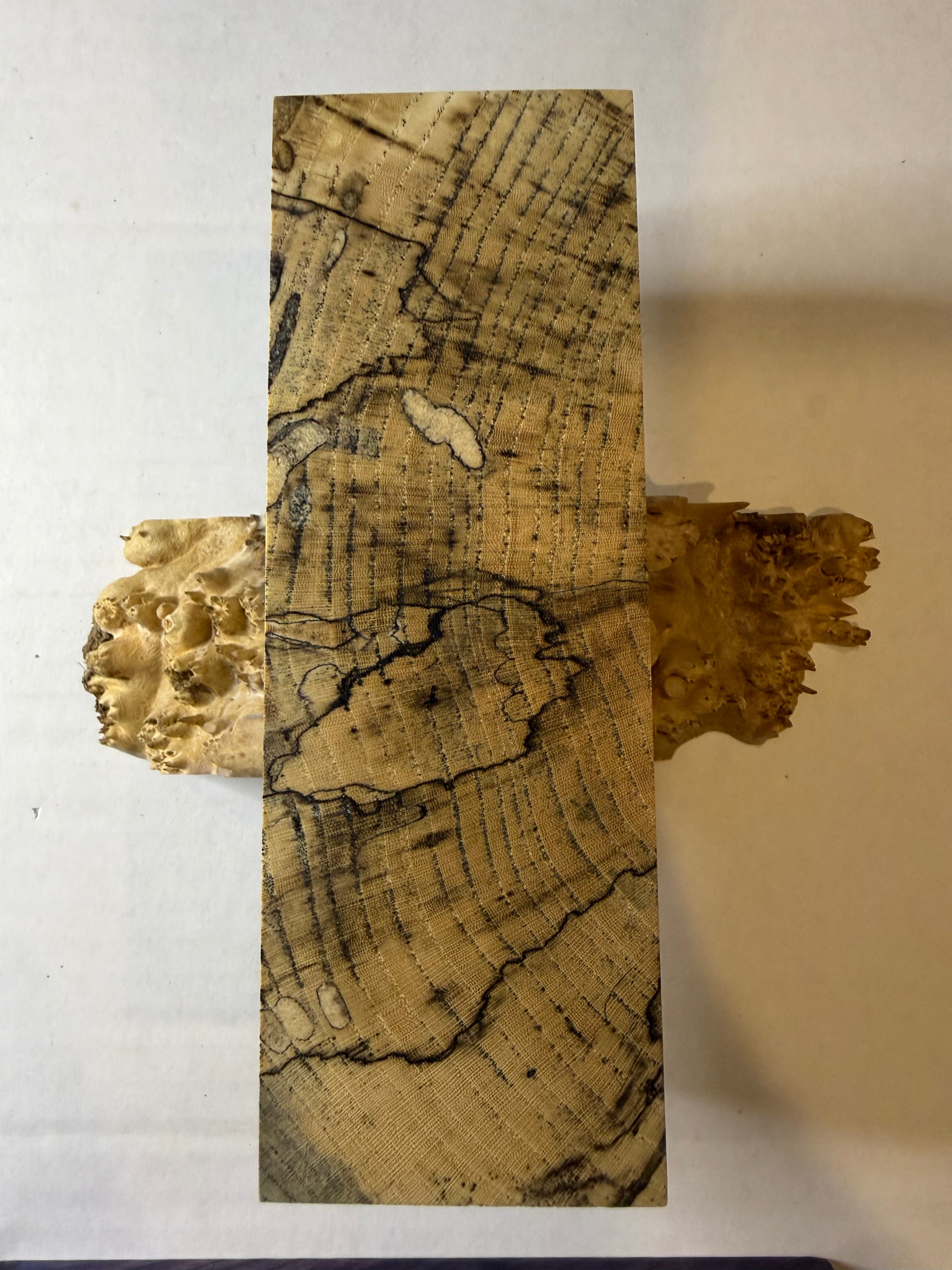 Hackberry | #0273