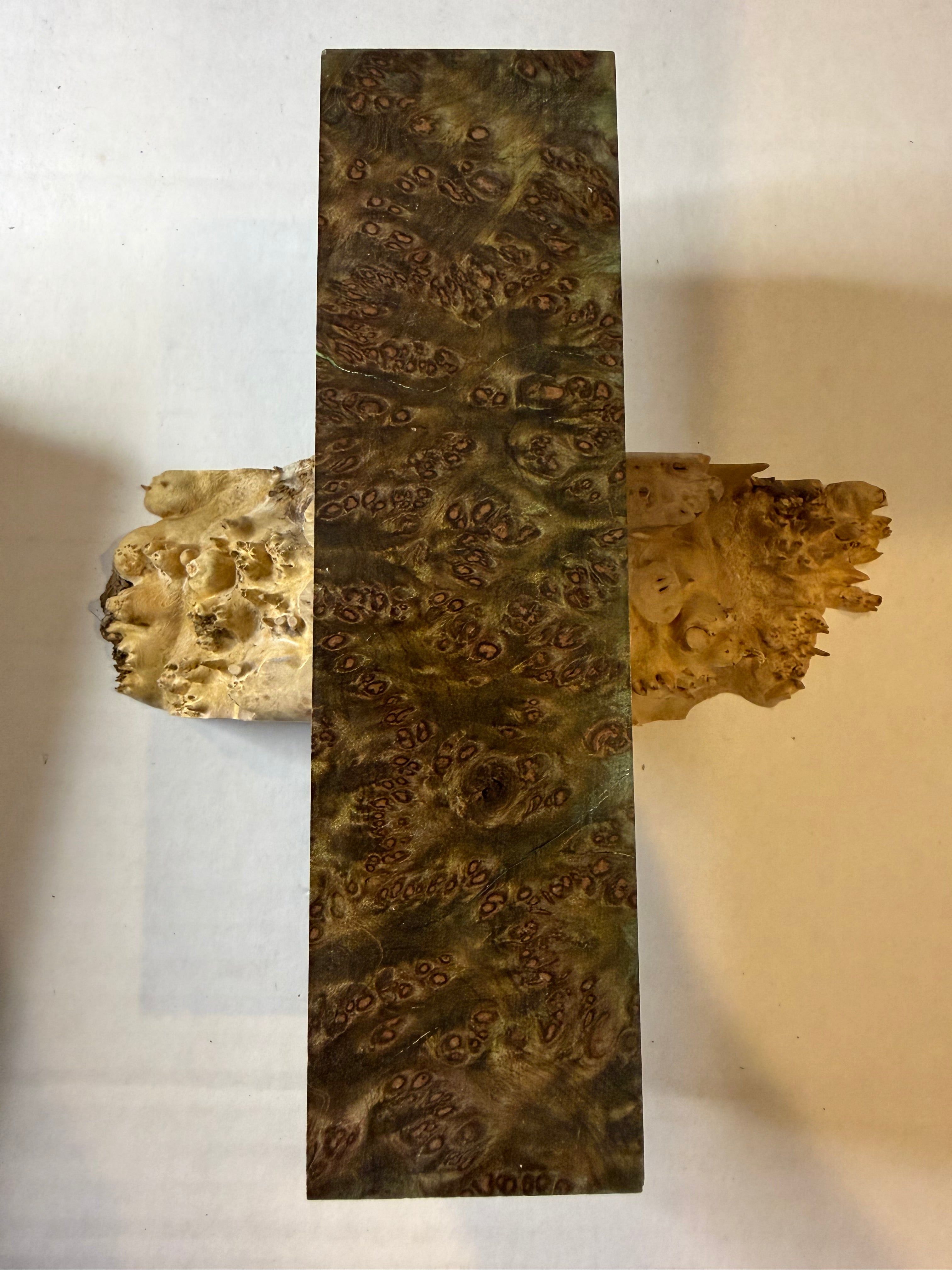 Redwood Burl | #0281