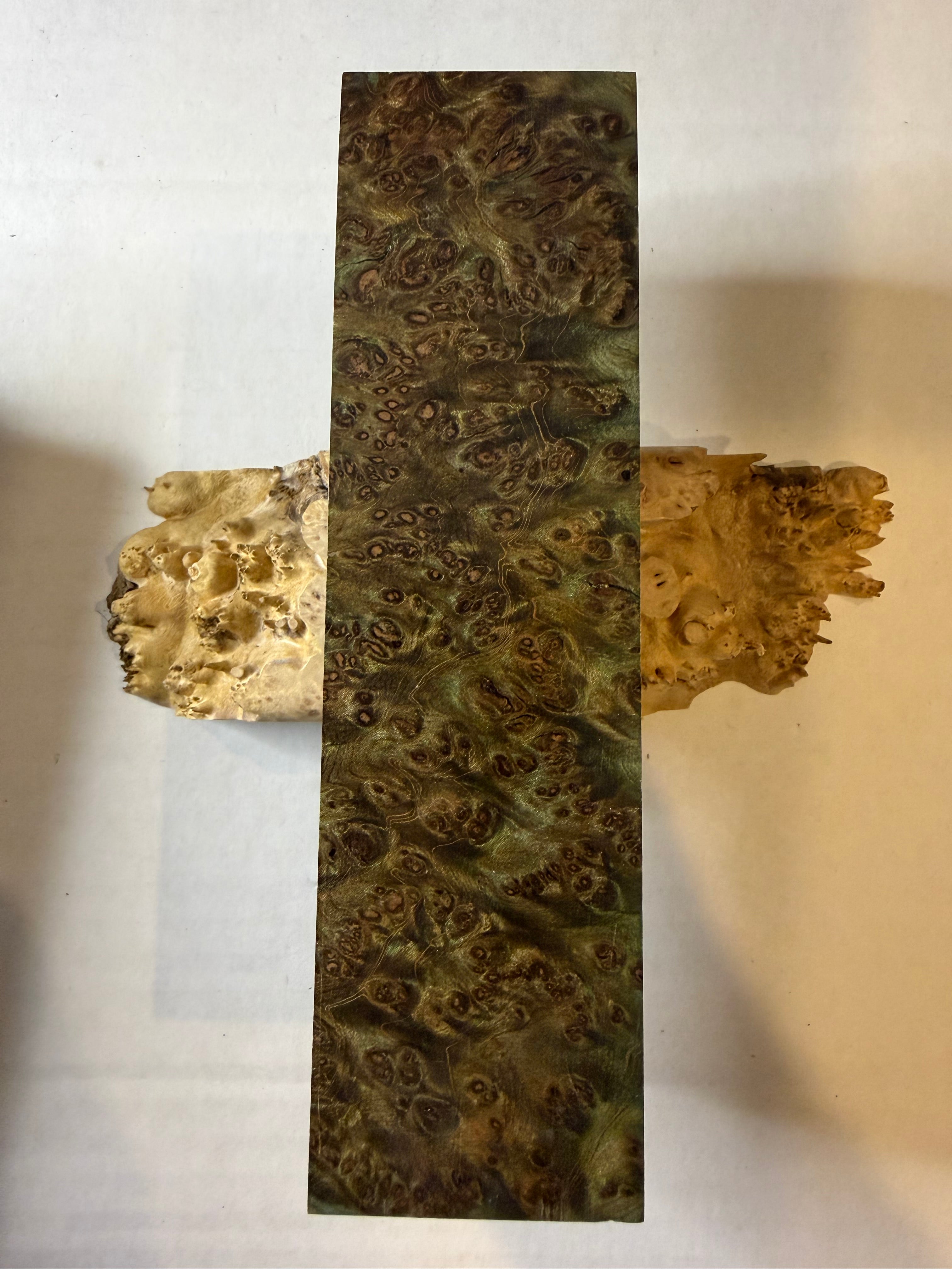Redwood Burl | #0281