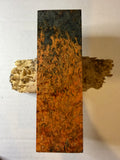 Karelian Birch | #0282
