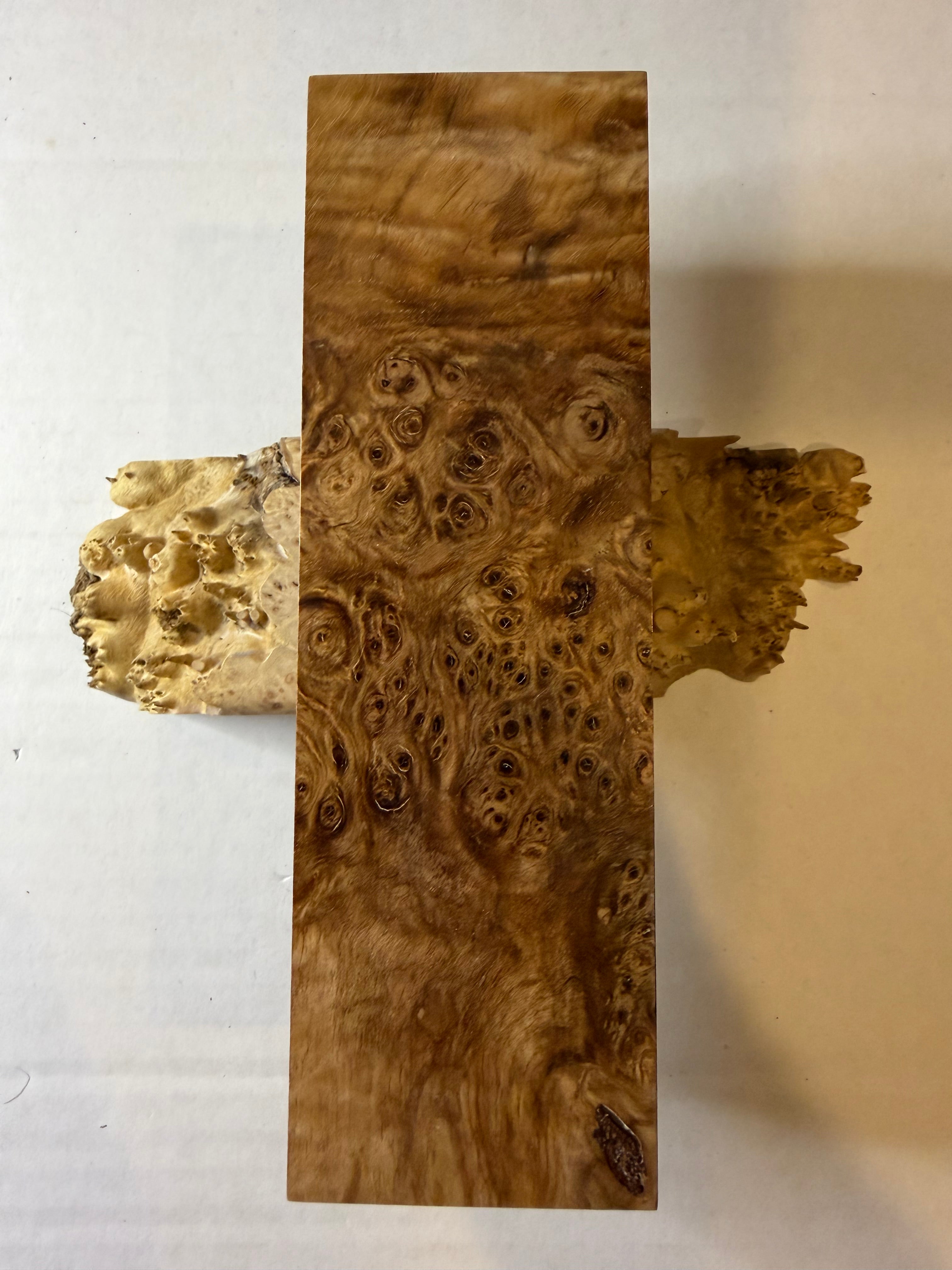 Birch Burl | #0288