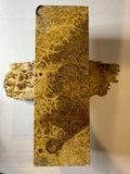 River Tamarind Burl | #0292
