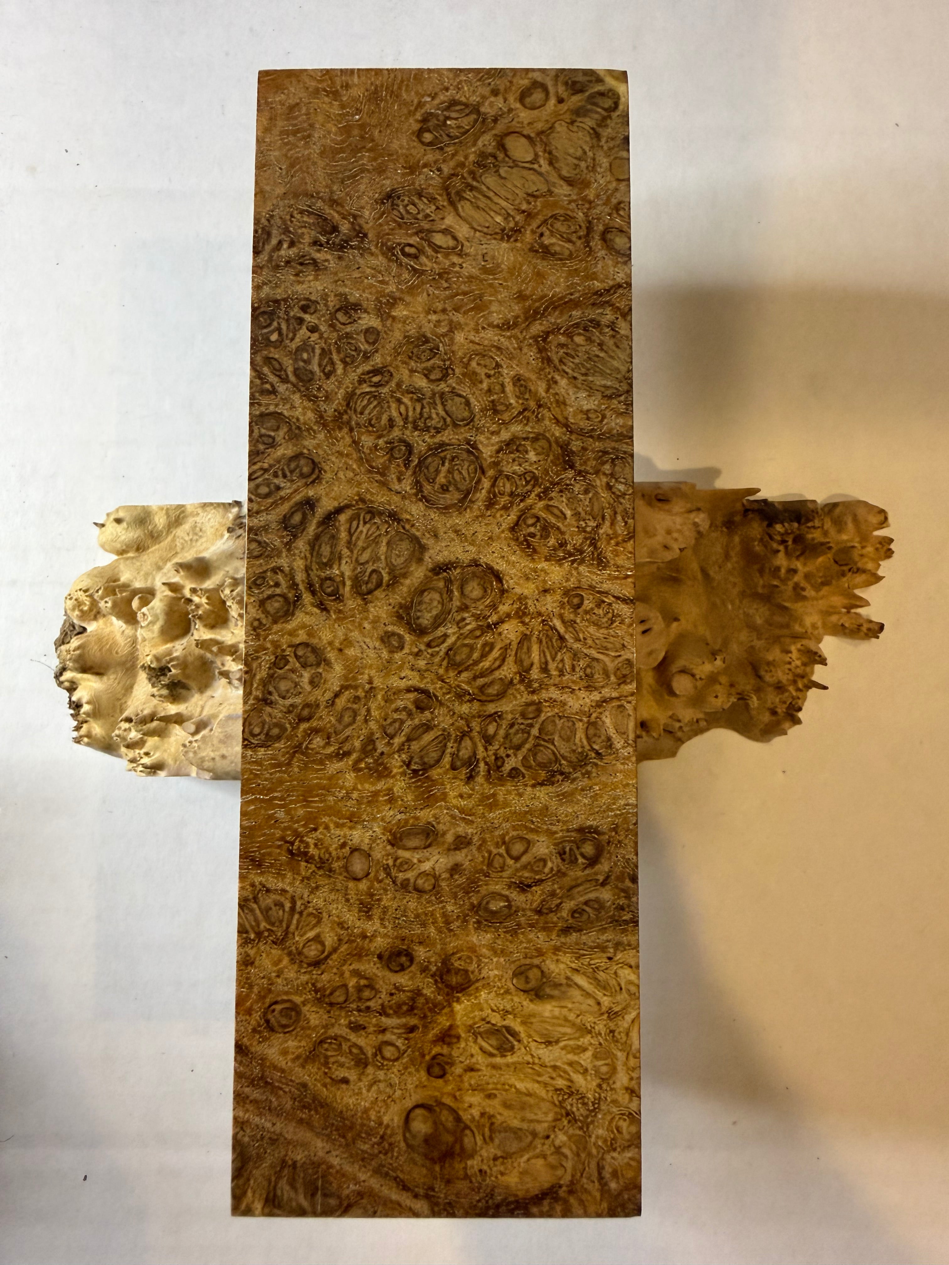 River Tamarind Burl | #0292