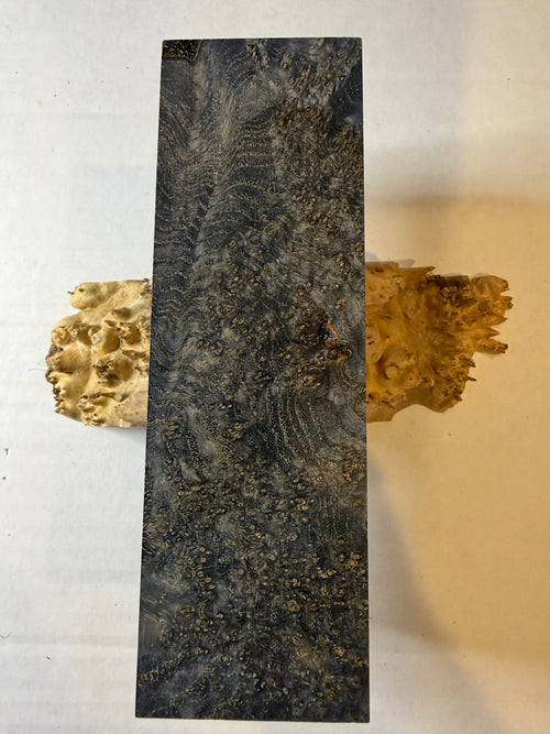 Blackash Burl | #0297