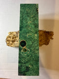 Boxelder Burl | #0299