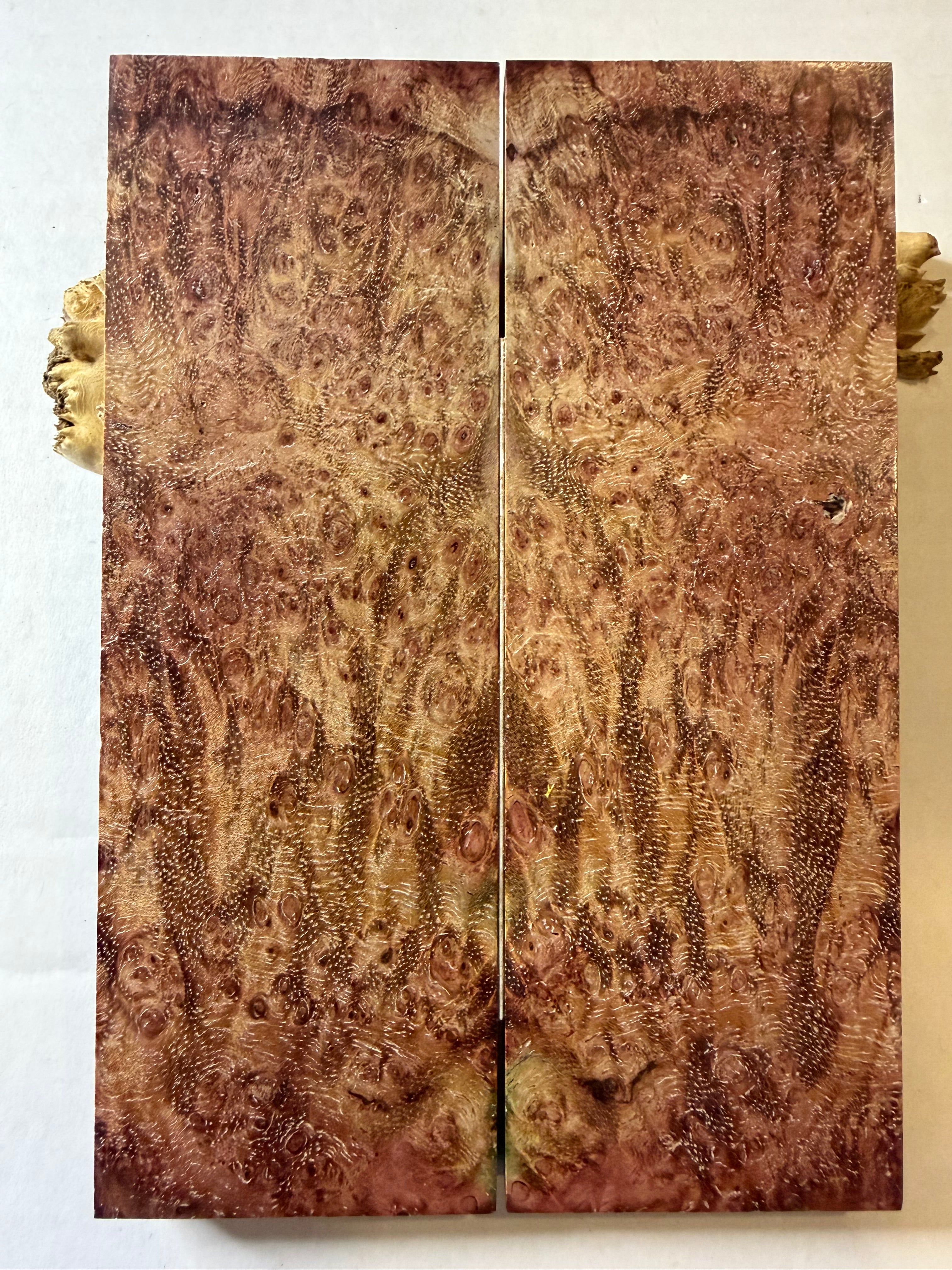 River Tamarind Burl | #0307